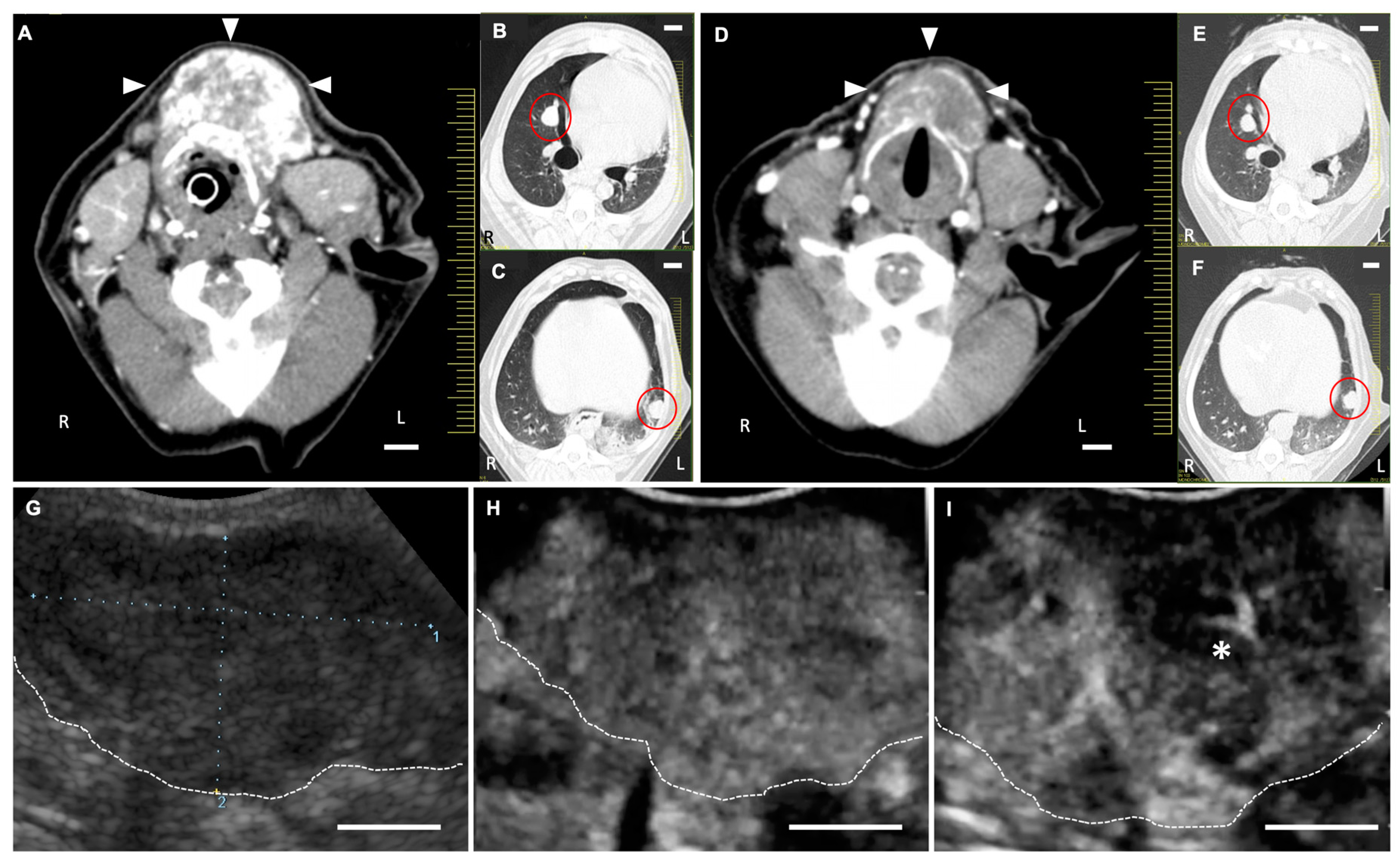 Cancers 12 02423 g008