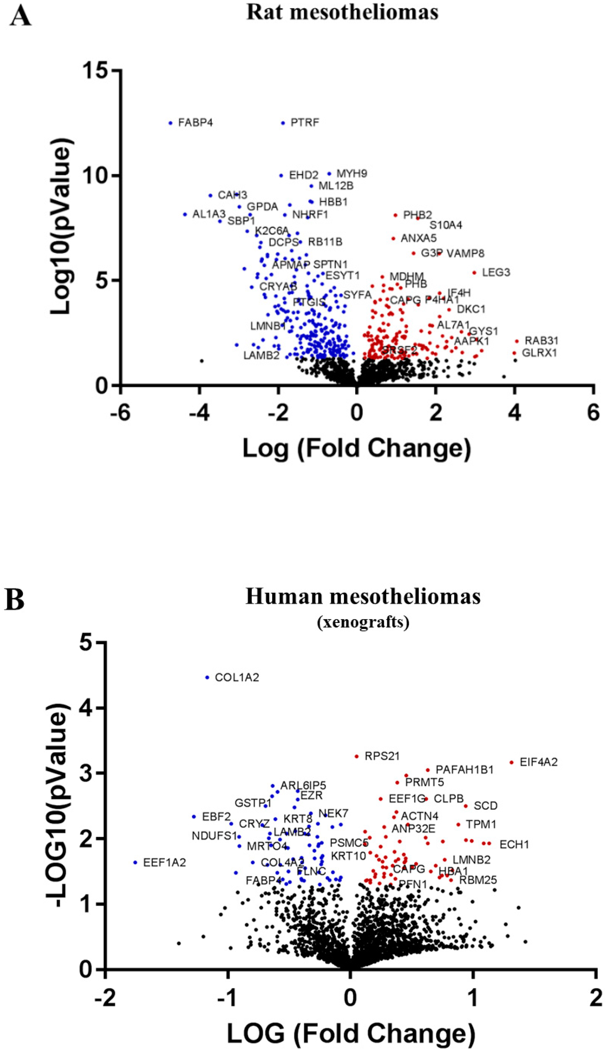 Cancers 12 02430 g002a