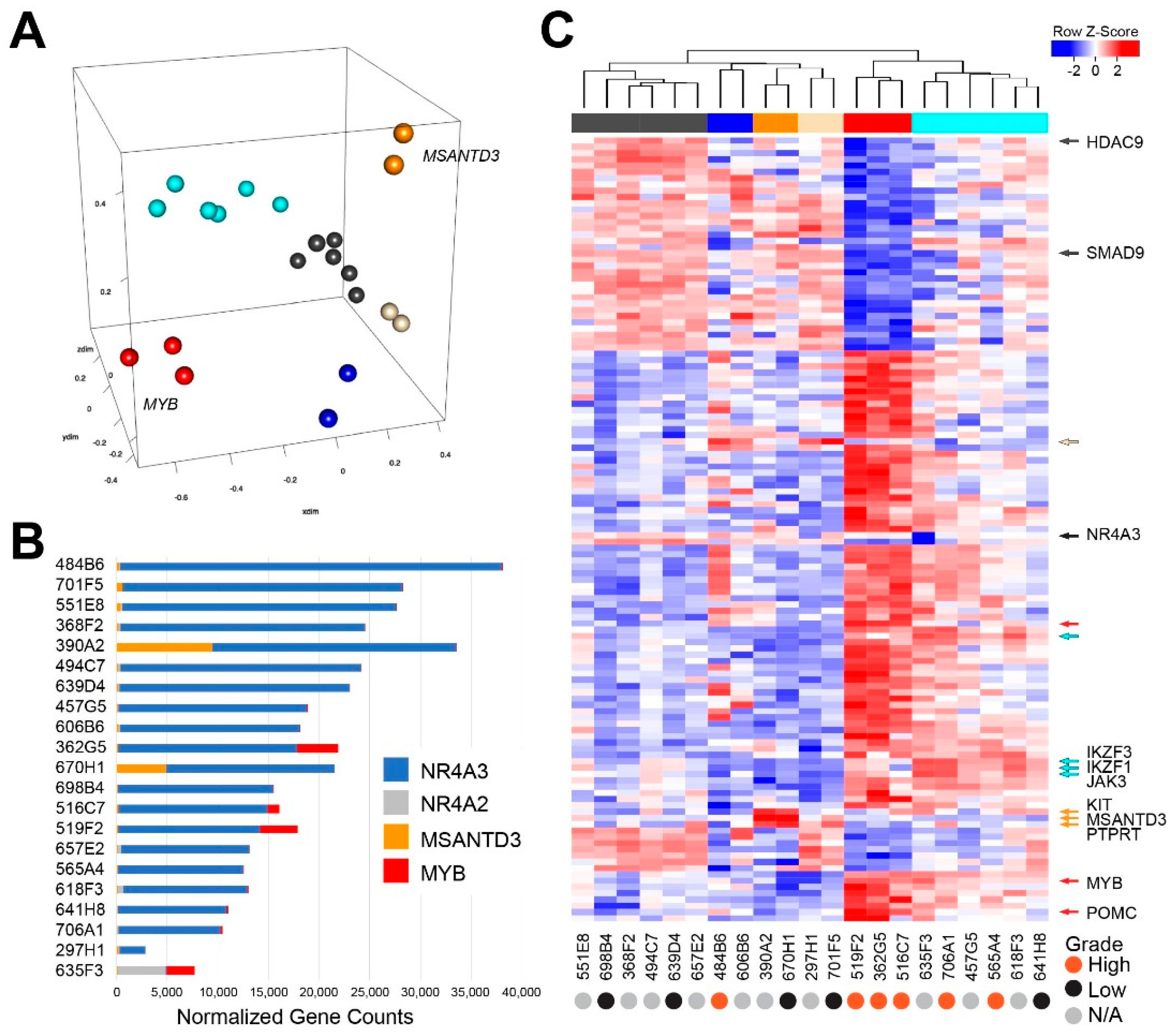 Cancers 12 02433 g002 Cancers 12 02433 g002