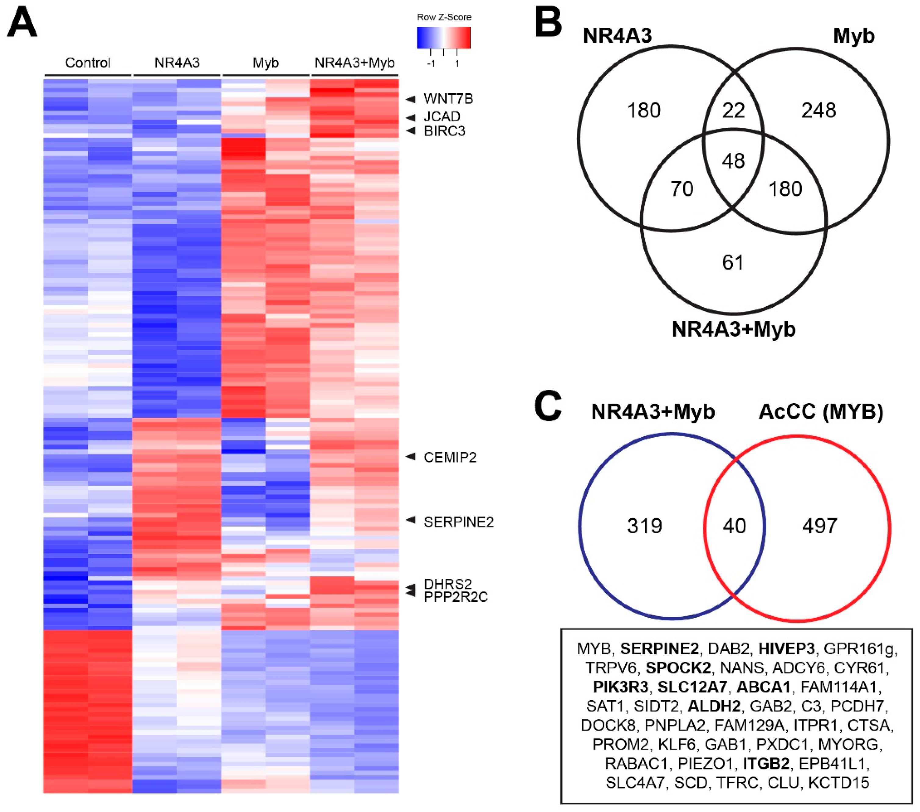Cancers 12 02433 g005 Cancers 12 02433 g005