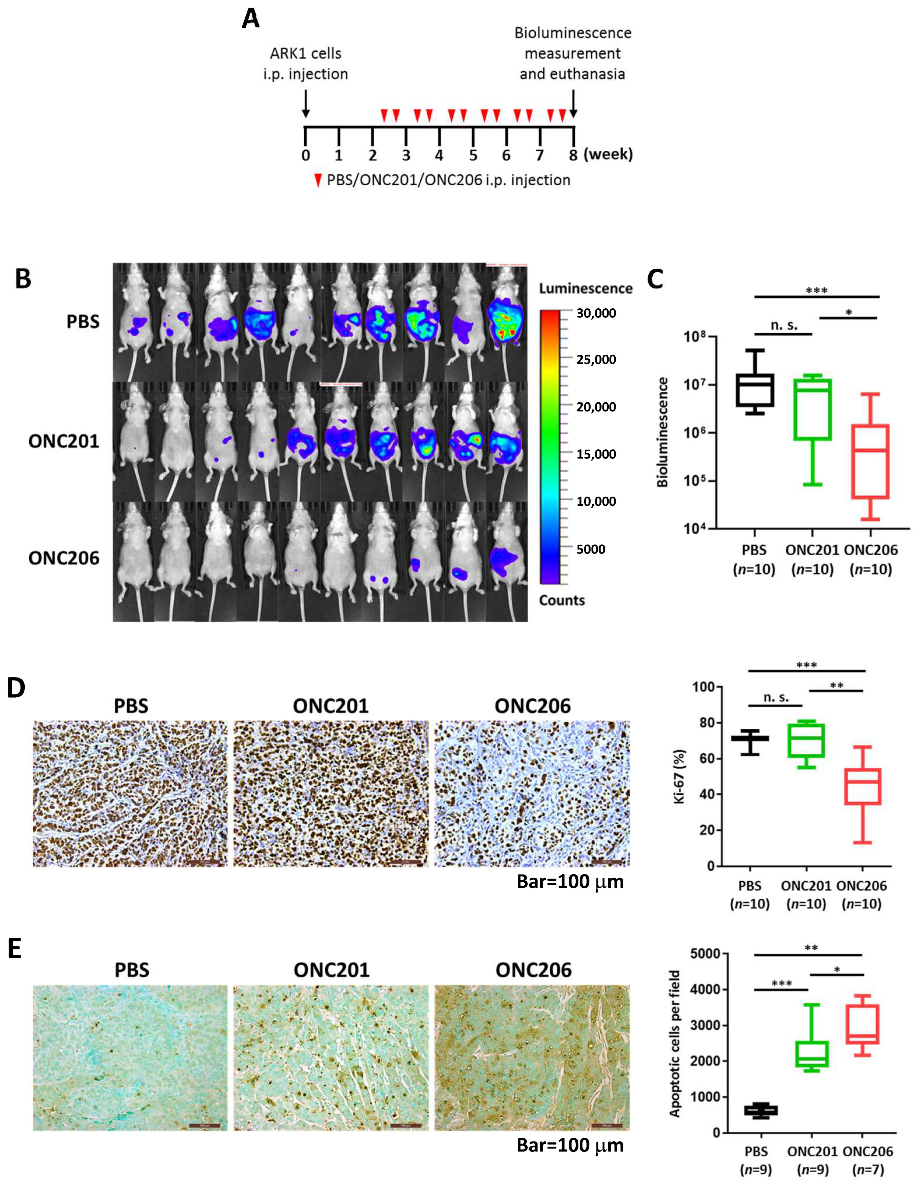 Cancers 12 02436 g002