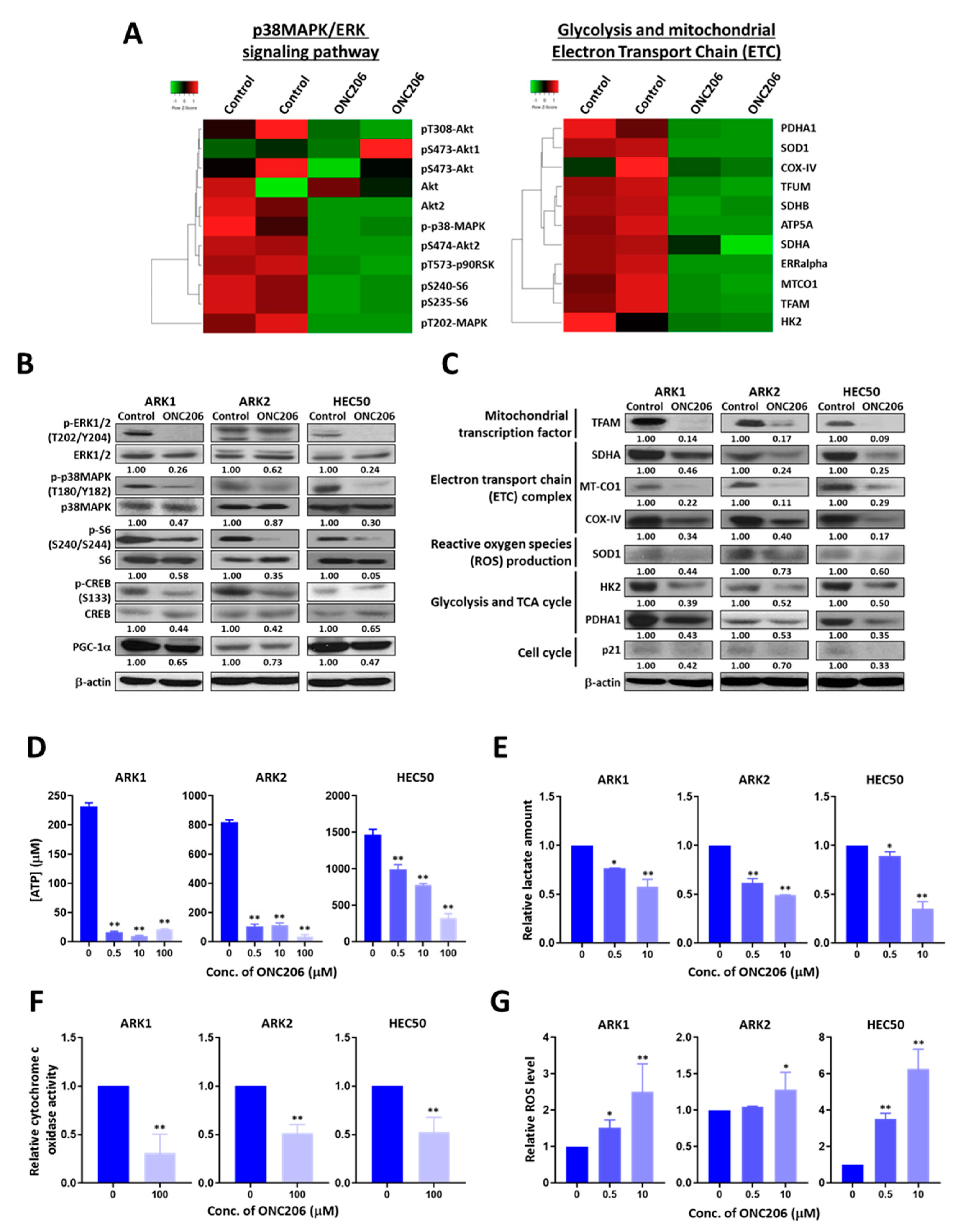 Cancers 12 02436 g003