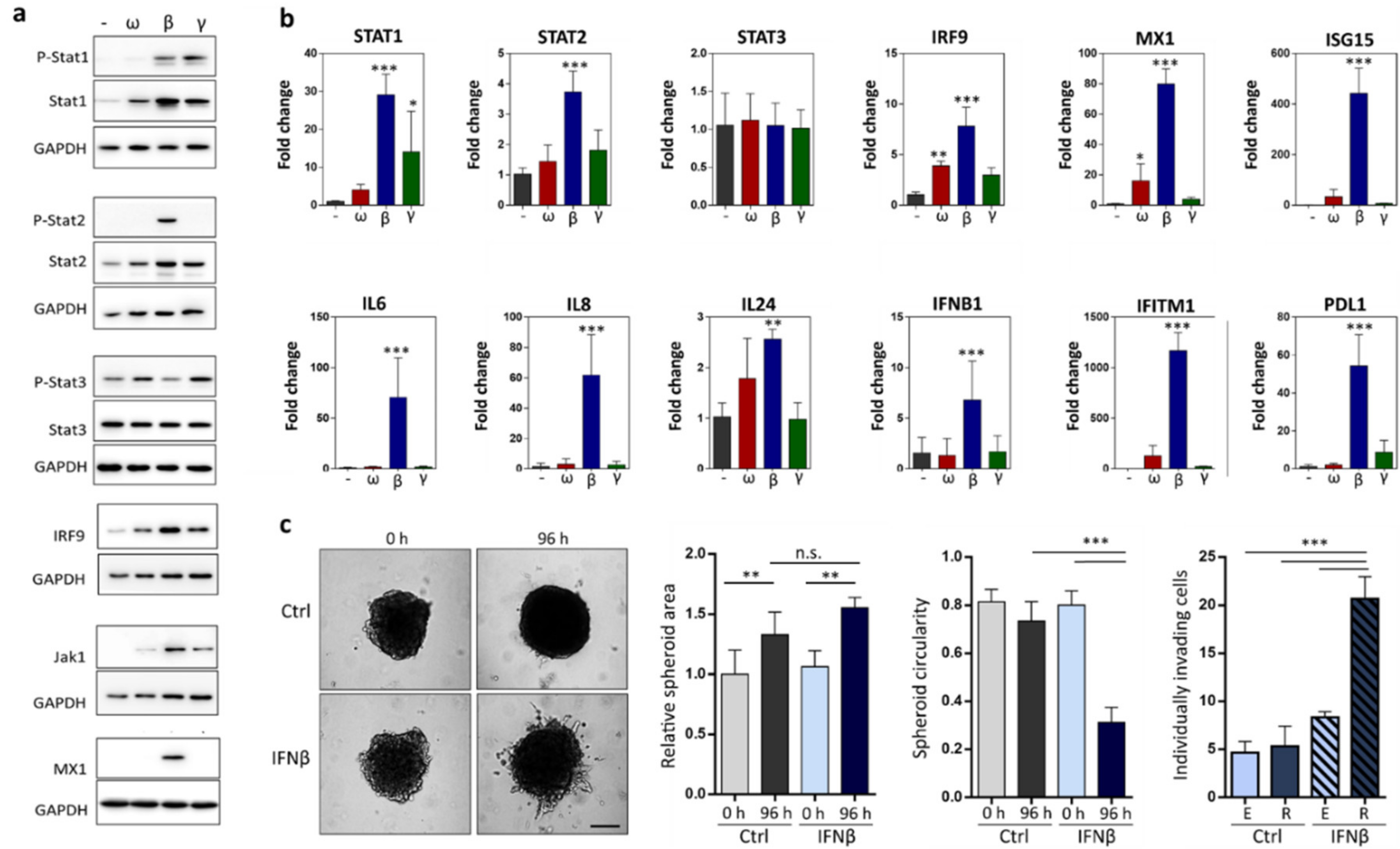 Cancers 12 02450 g003