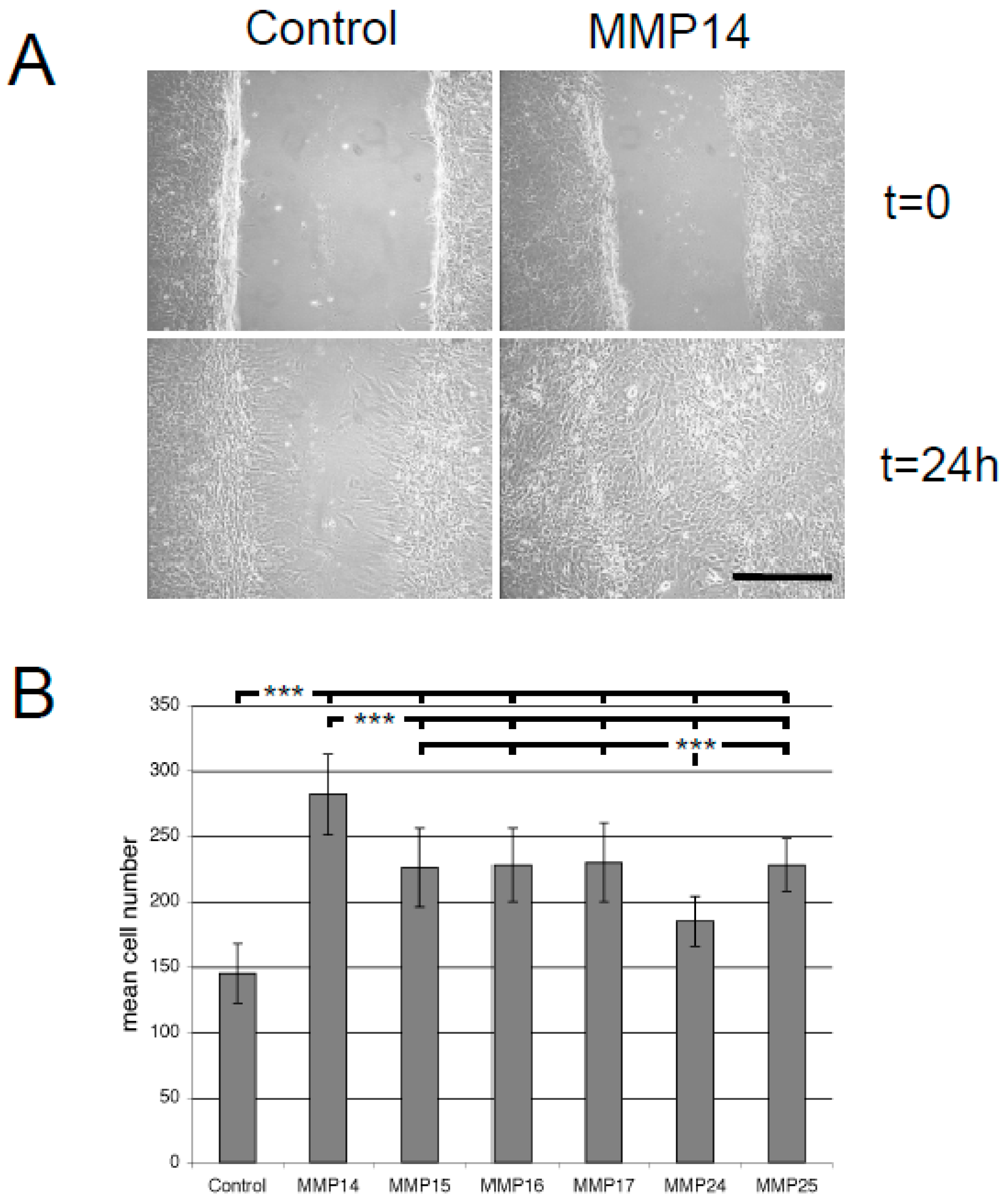 Cancers 12 02456 g004