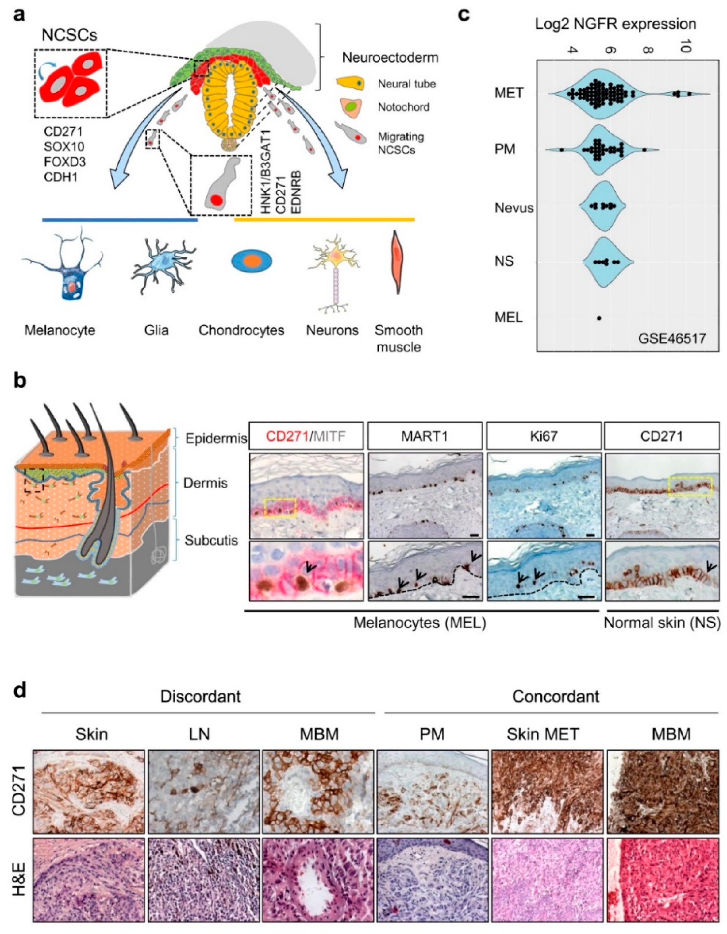 Cancers 12 02460 g001