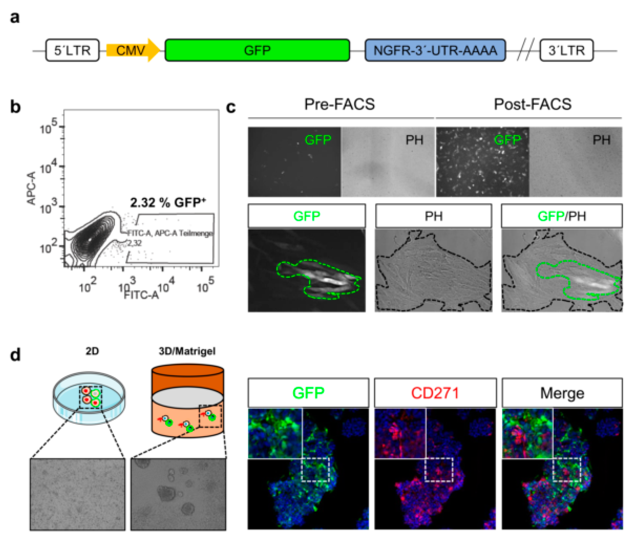 Cancers 12 02460 g003
