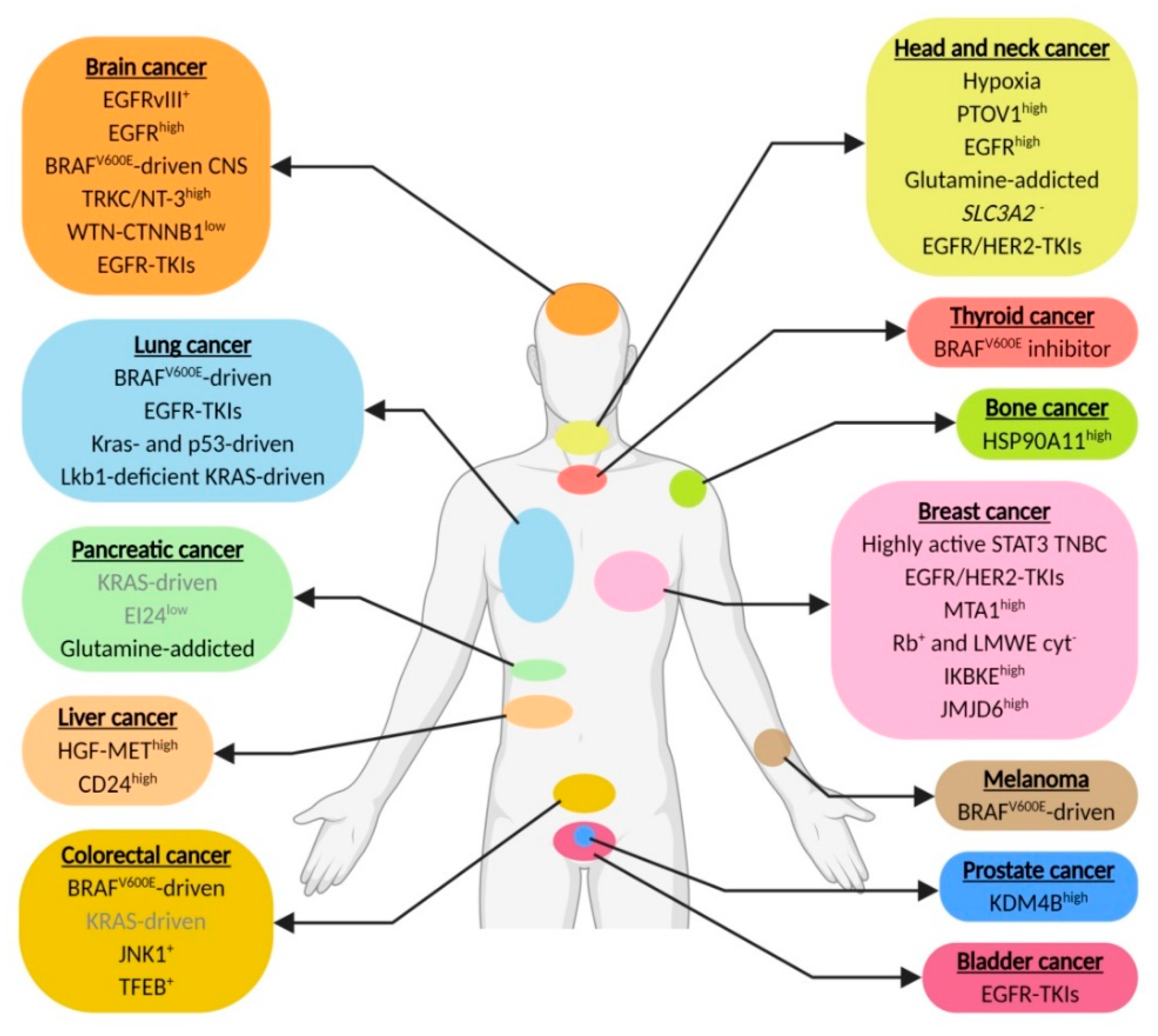 Cancers 12 02463 g001