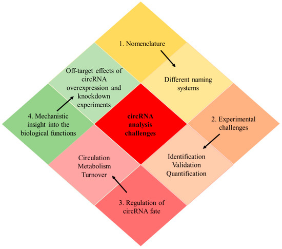 その他 pri Circular RNAs: A New Piece in the Colorectal Cancer Puzzle