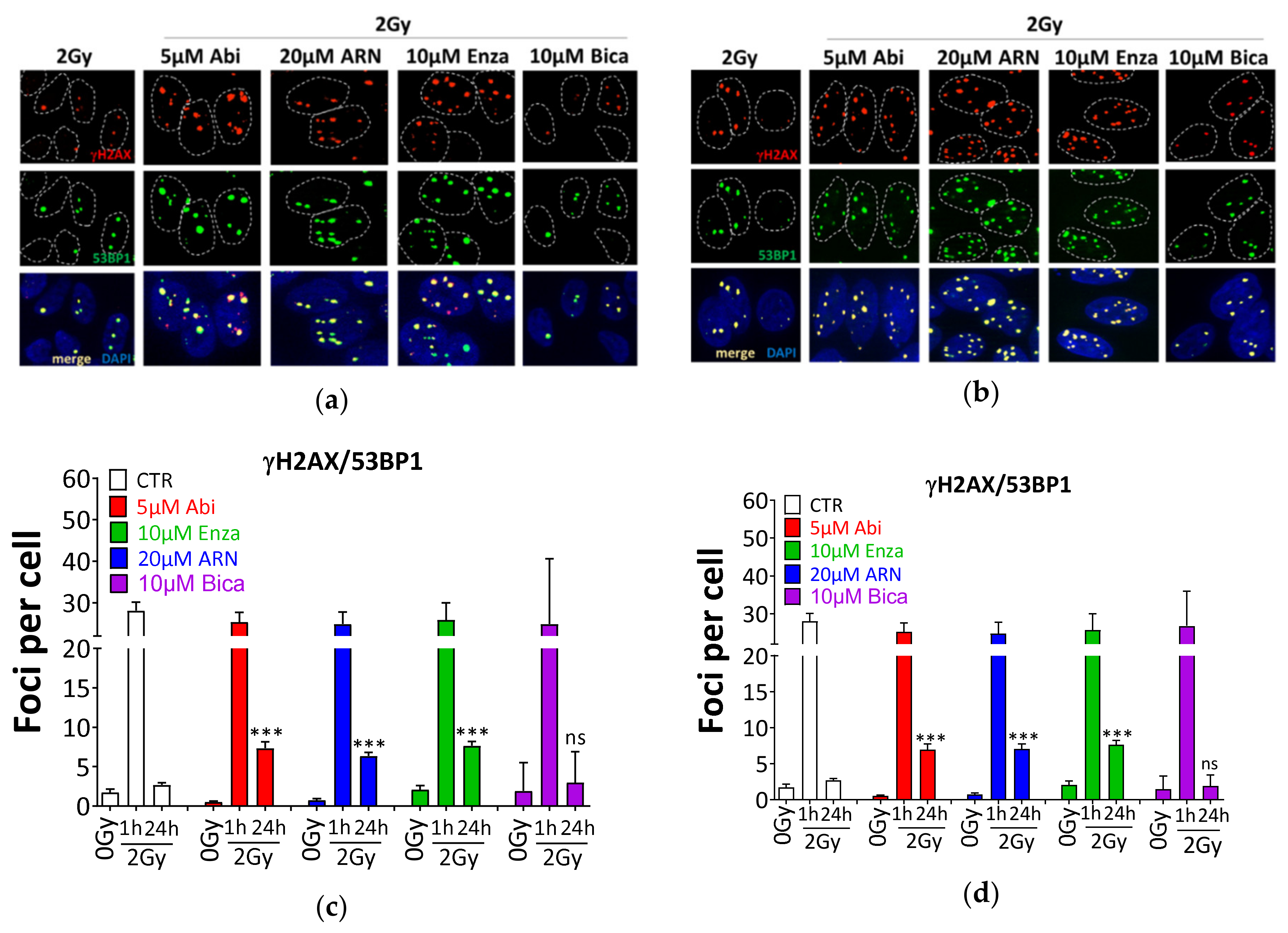Cancers 12 02467 g007