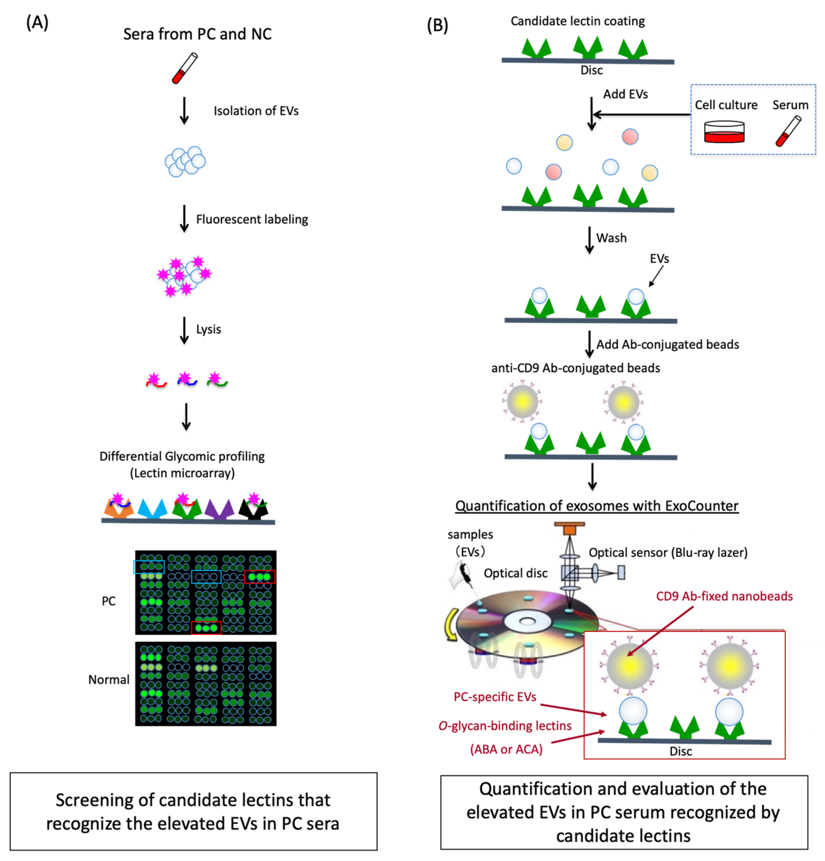 Cancers 12 02469 g001 Cancers 12 02469 g001