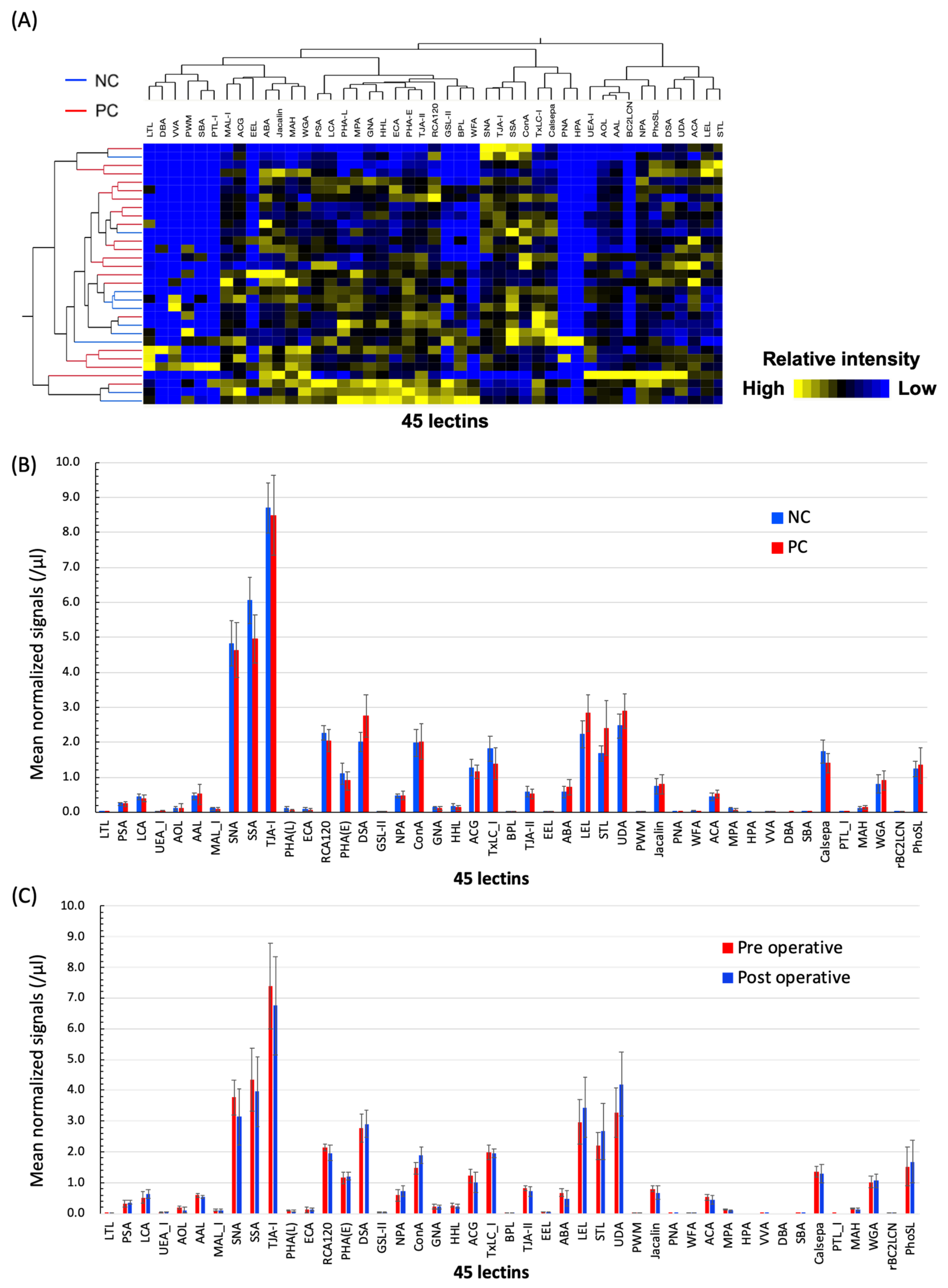 Cancers 12 02469 g002 Cancers 12 02469 g002