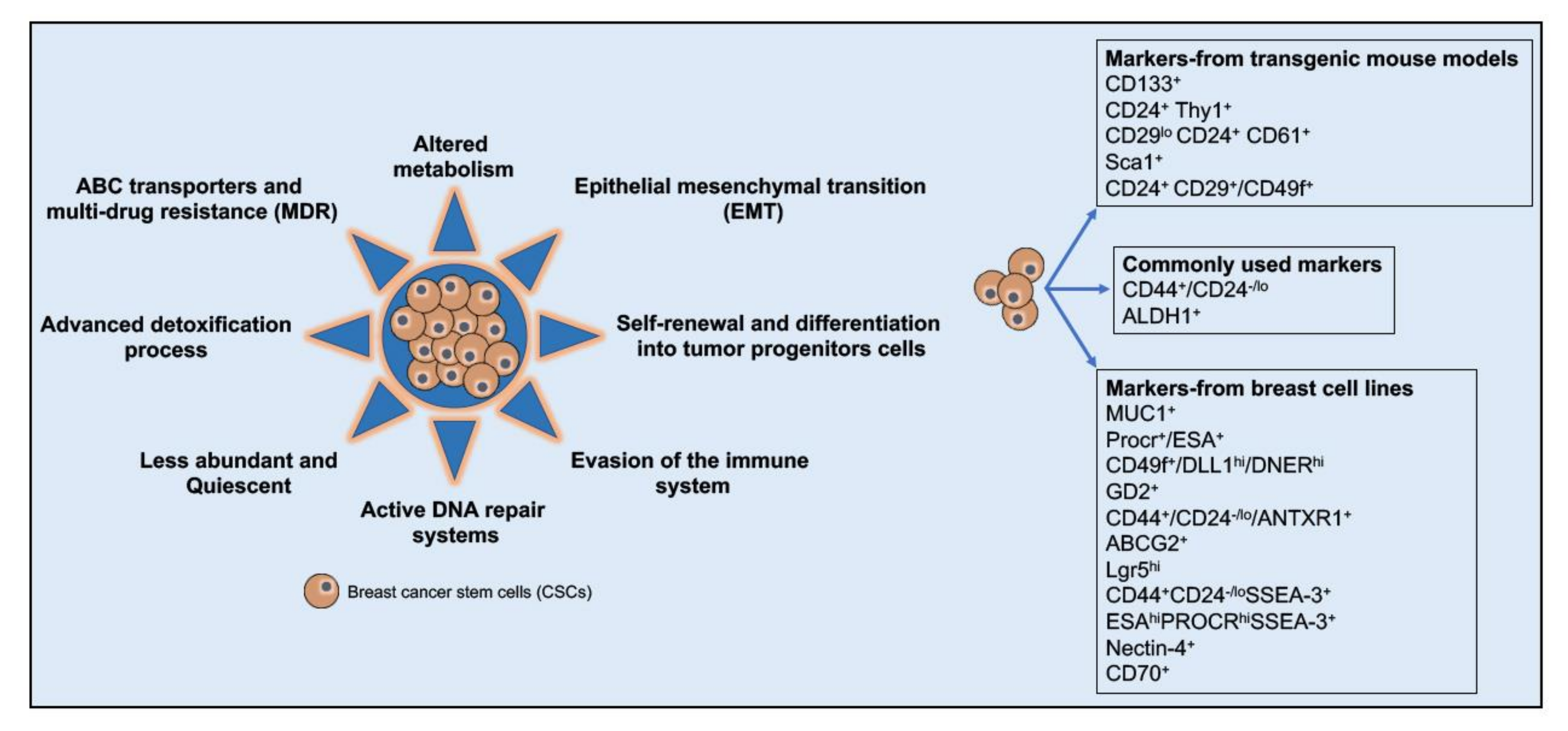 Cancers 12 02482 g003
