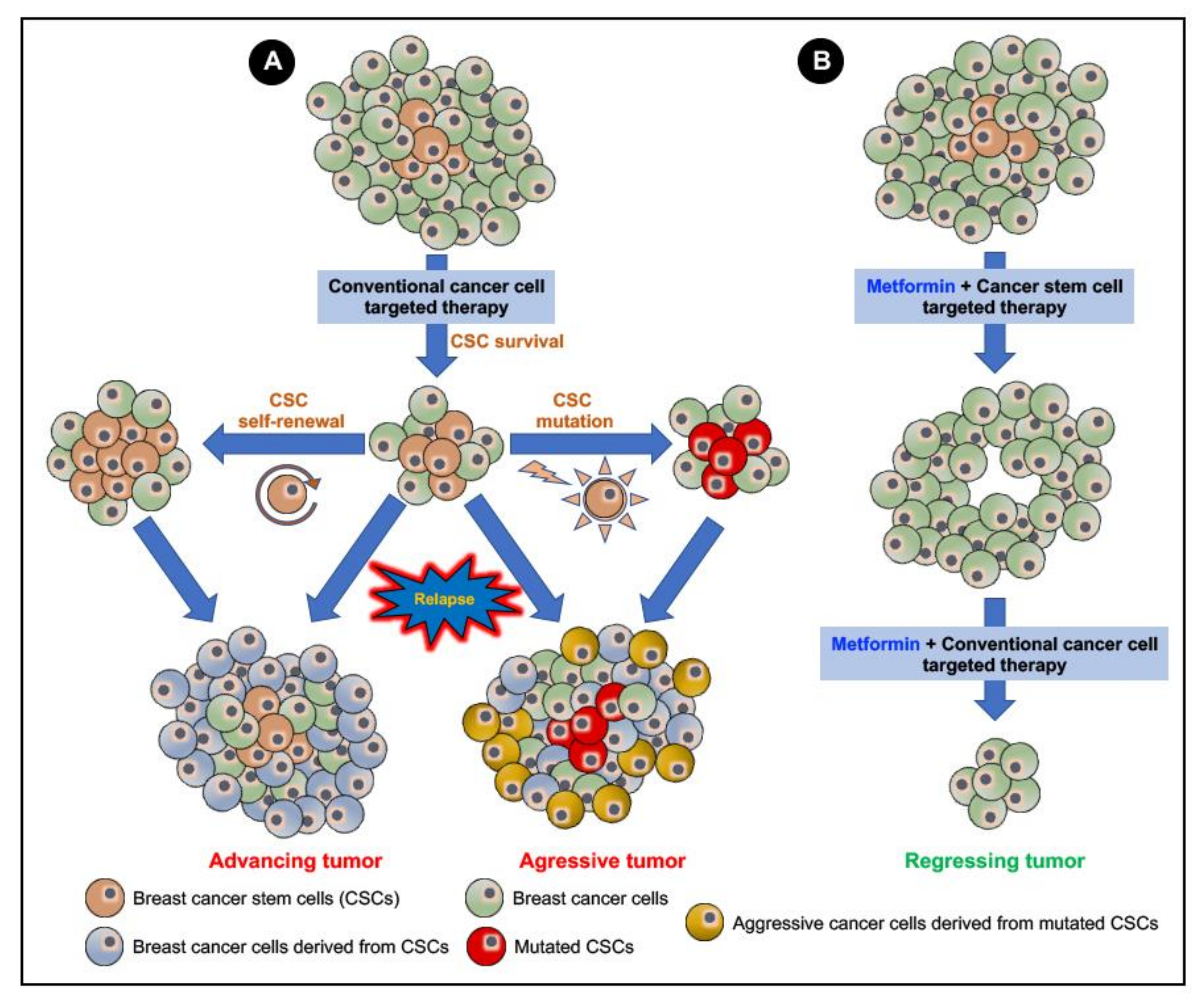 Cancers 12 02482 g005
