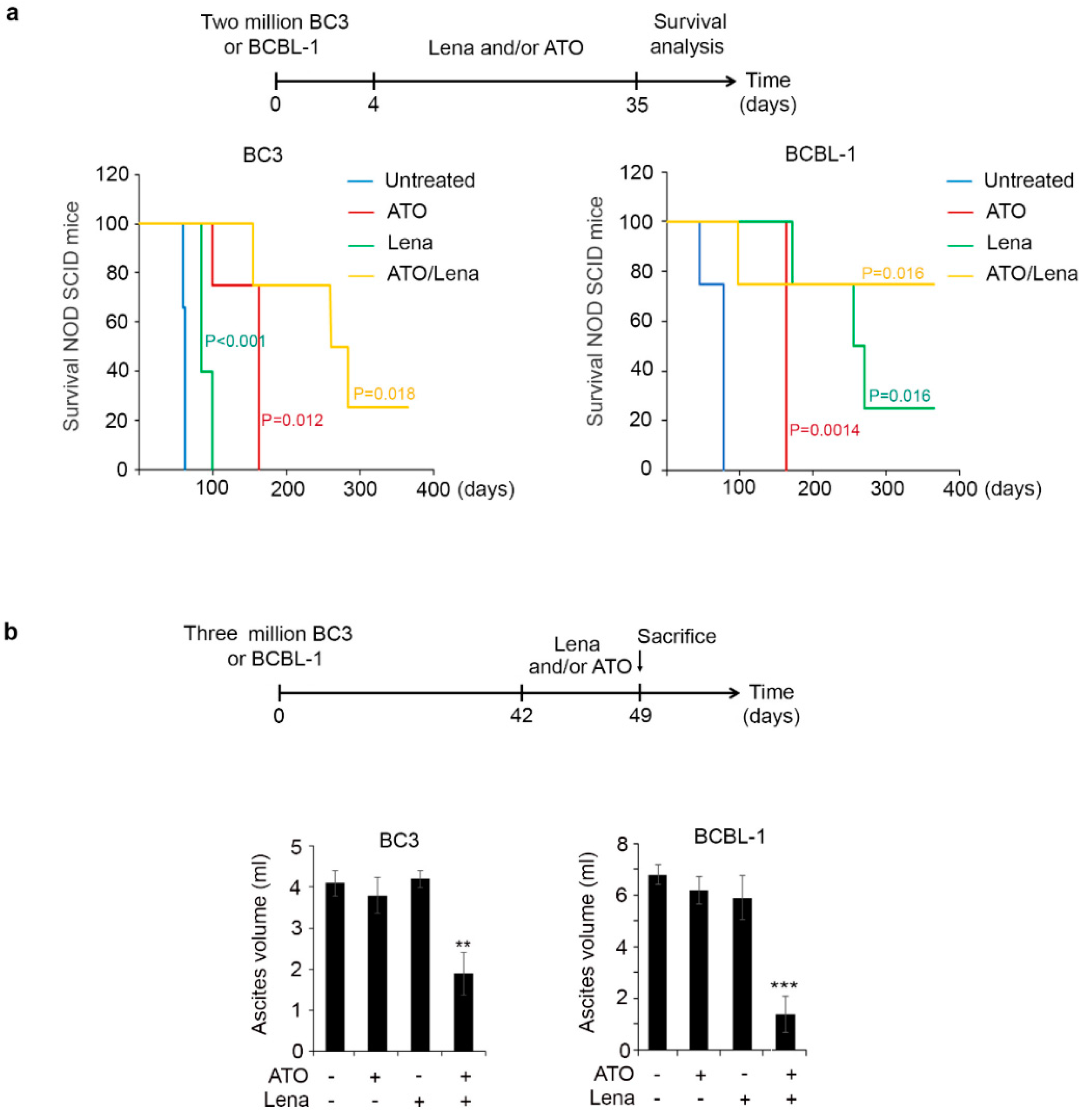 Cancers 12 02483 g001