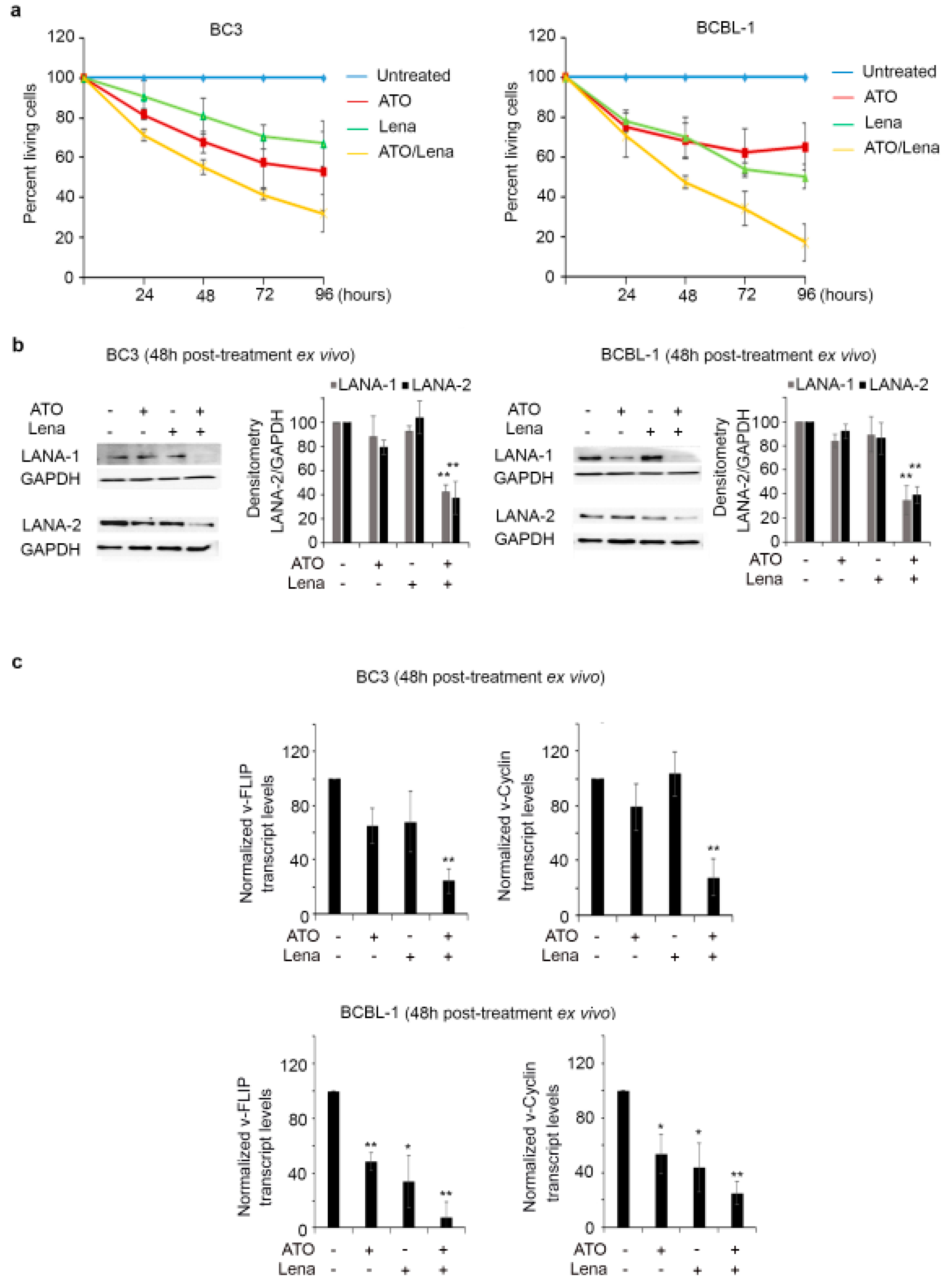 Cancers 12 02483 g002