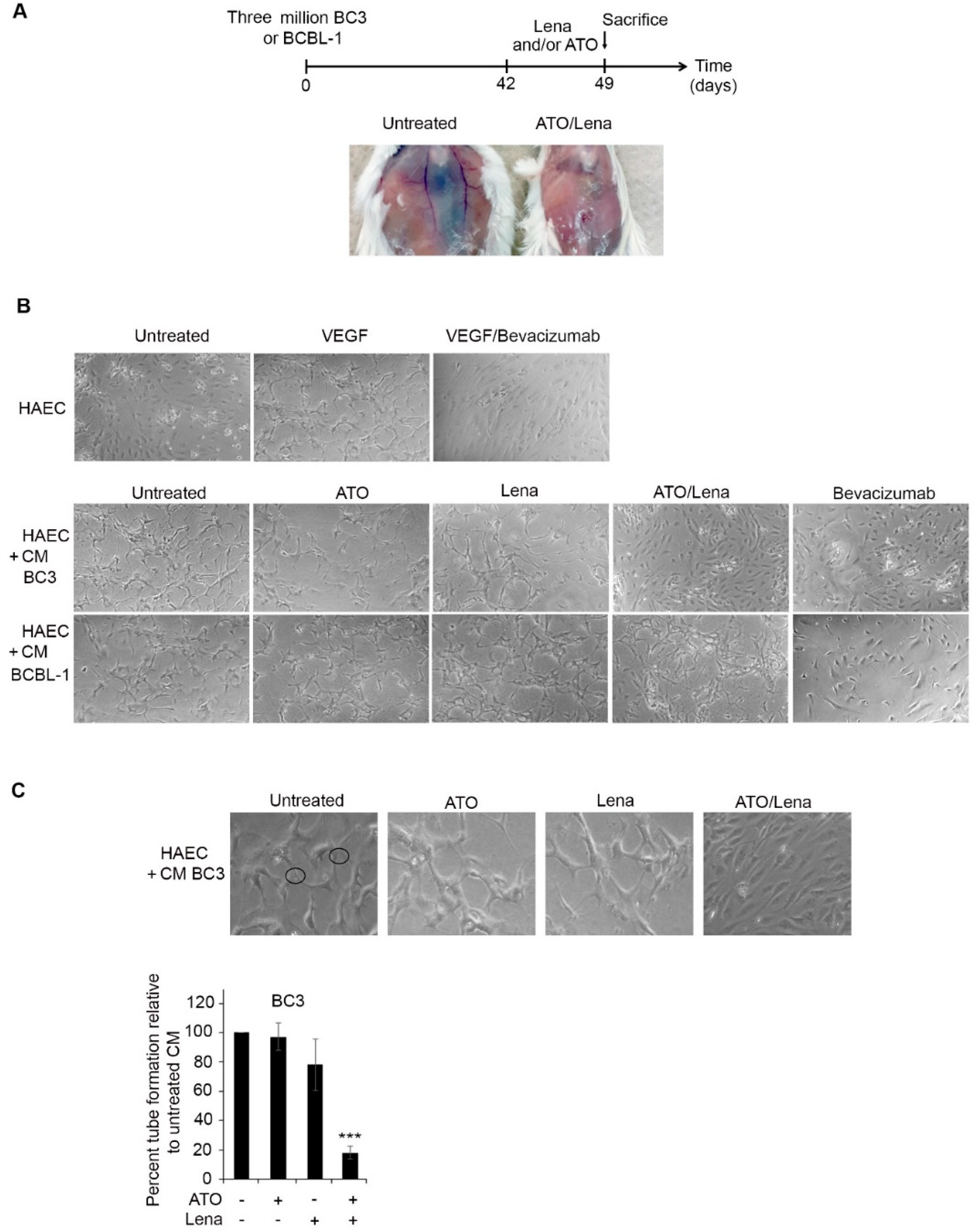 Cancers 12 02483 g005