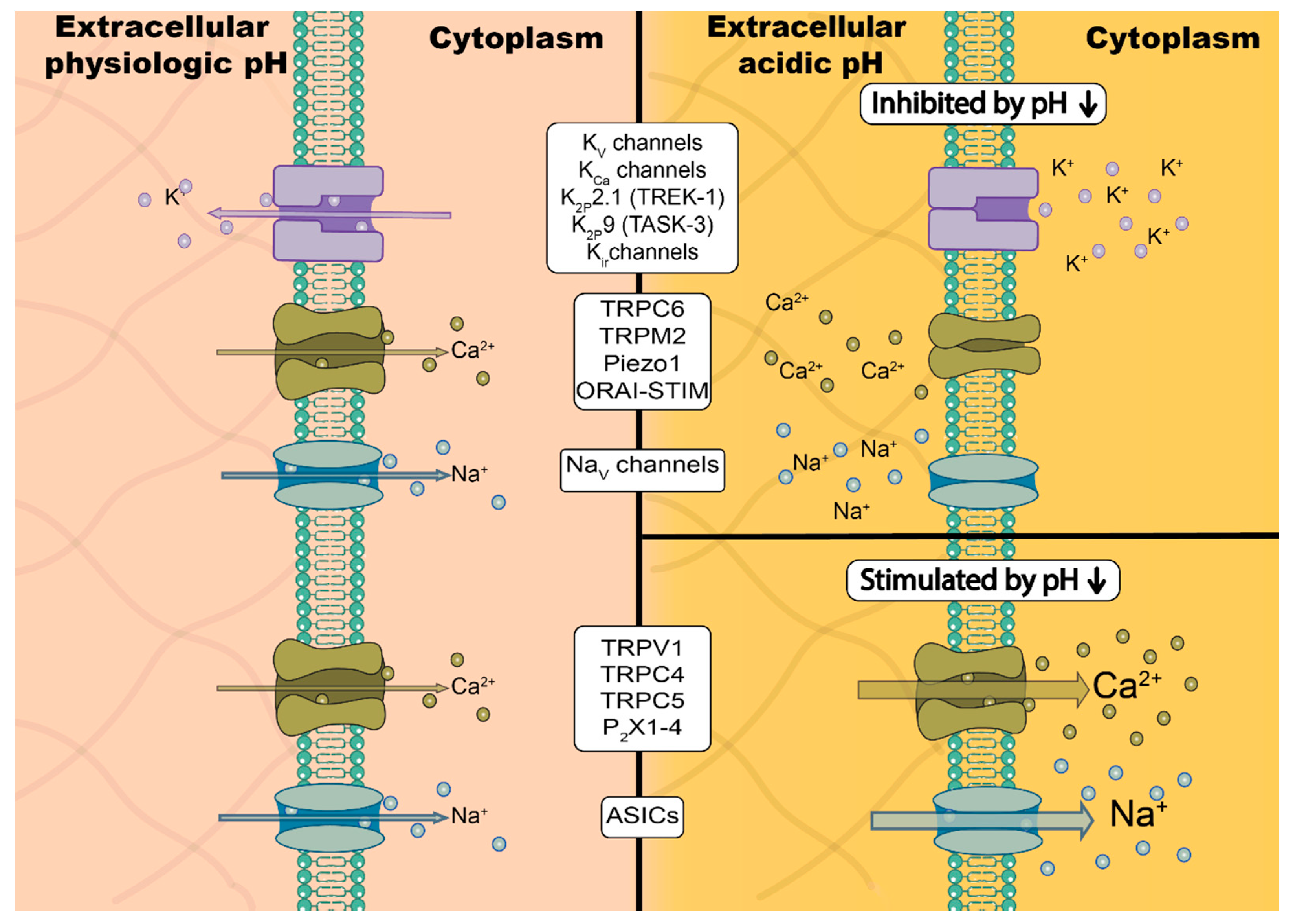Cancers 12 02484 g001