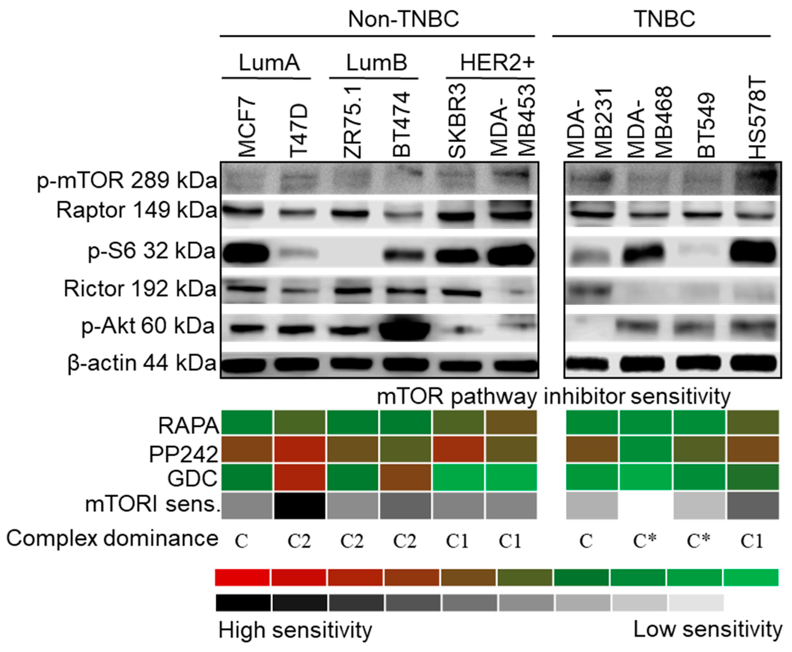 Cancers 12 02492 g002
