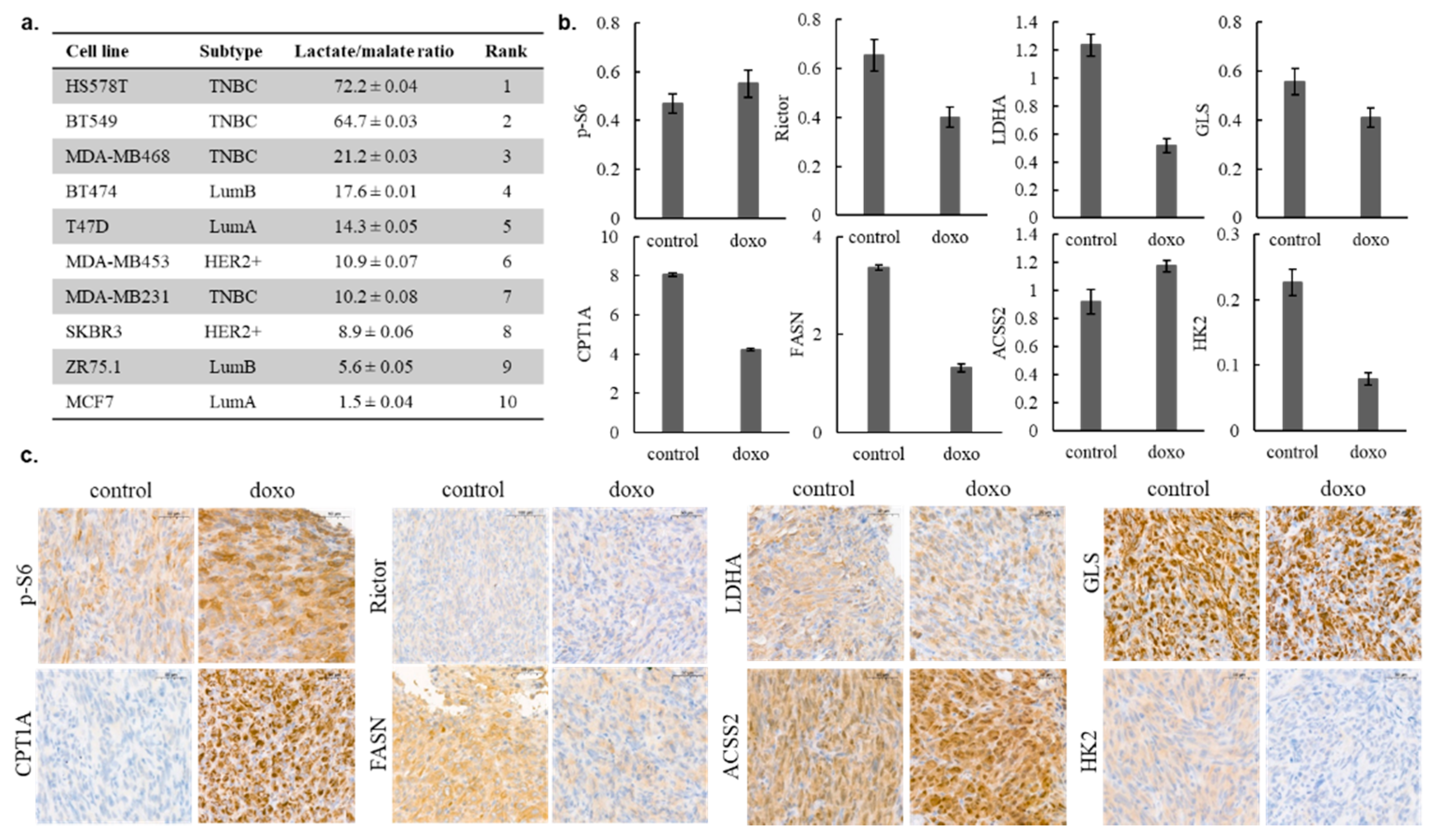 Cancers 12 02492 g004