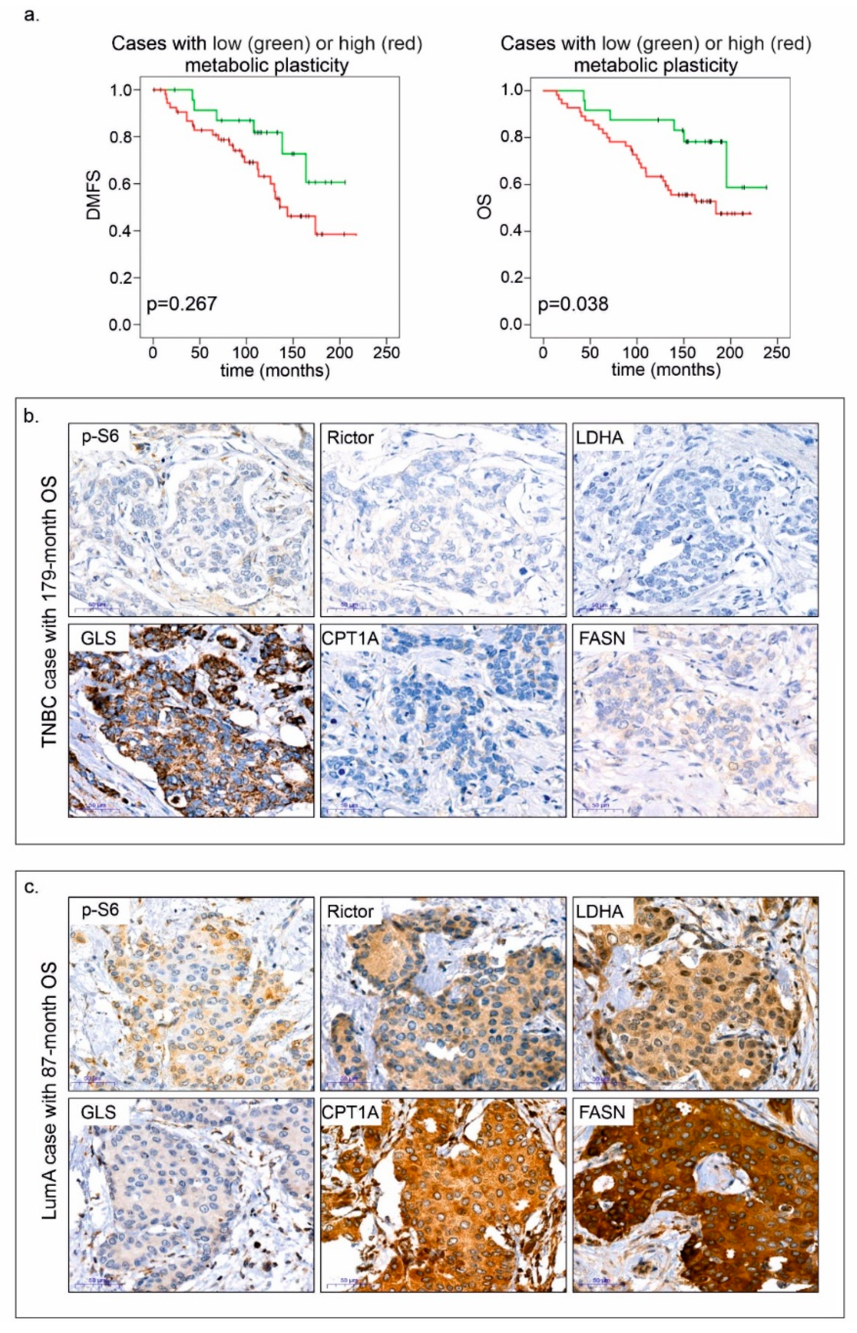 Cancers 12 02492 g008