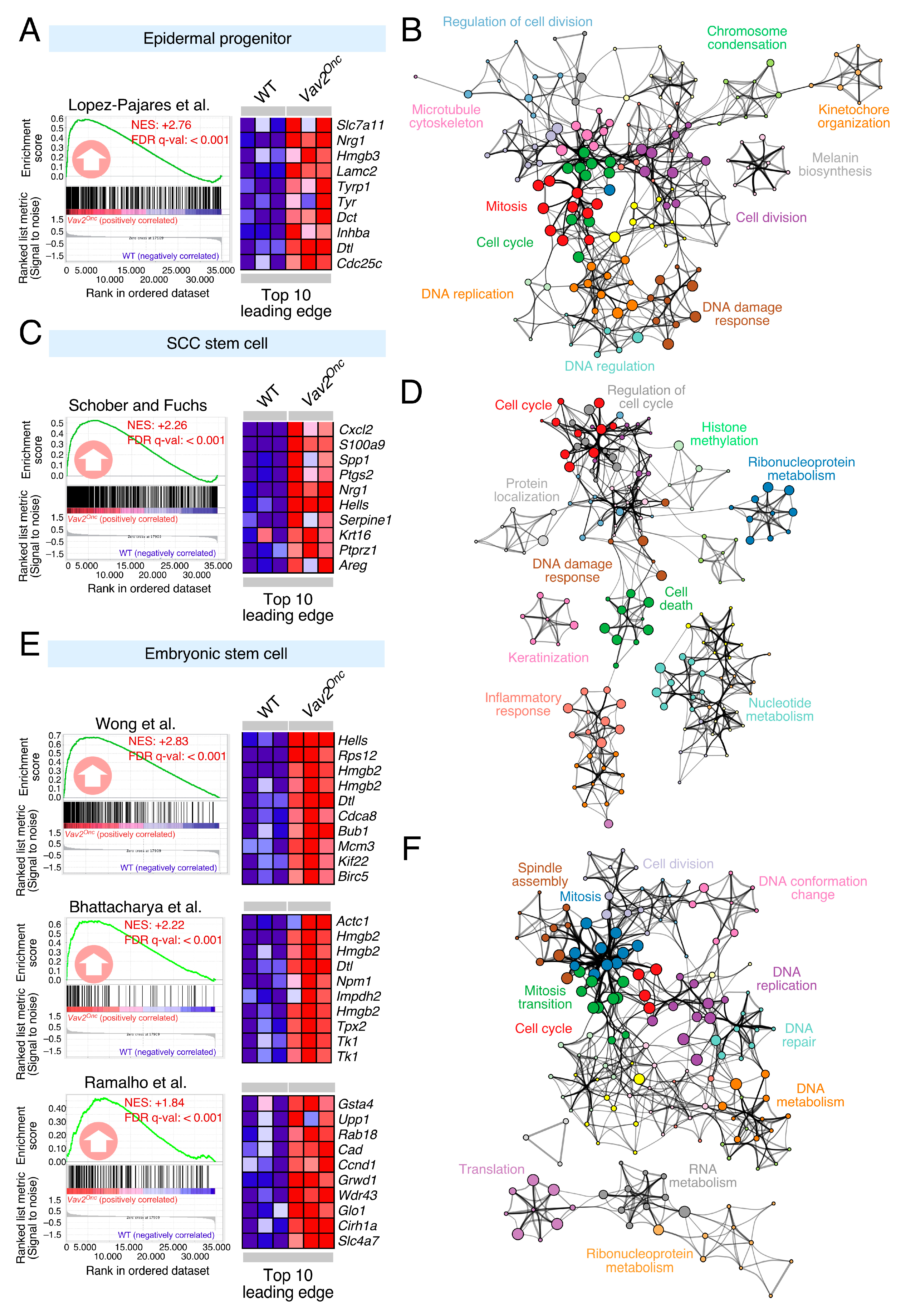 Cancers 12 02498 g001