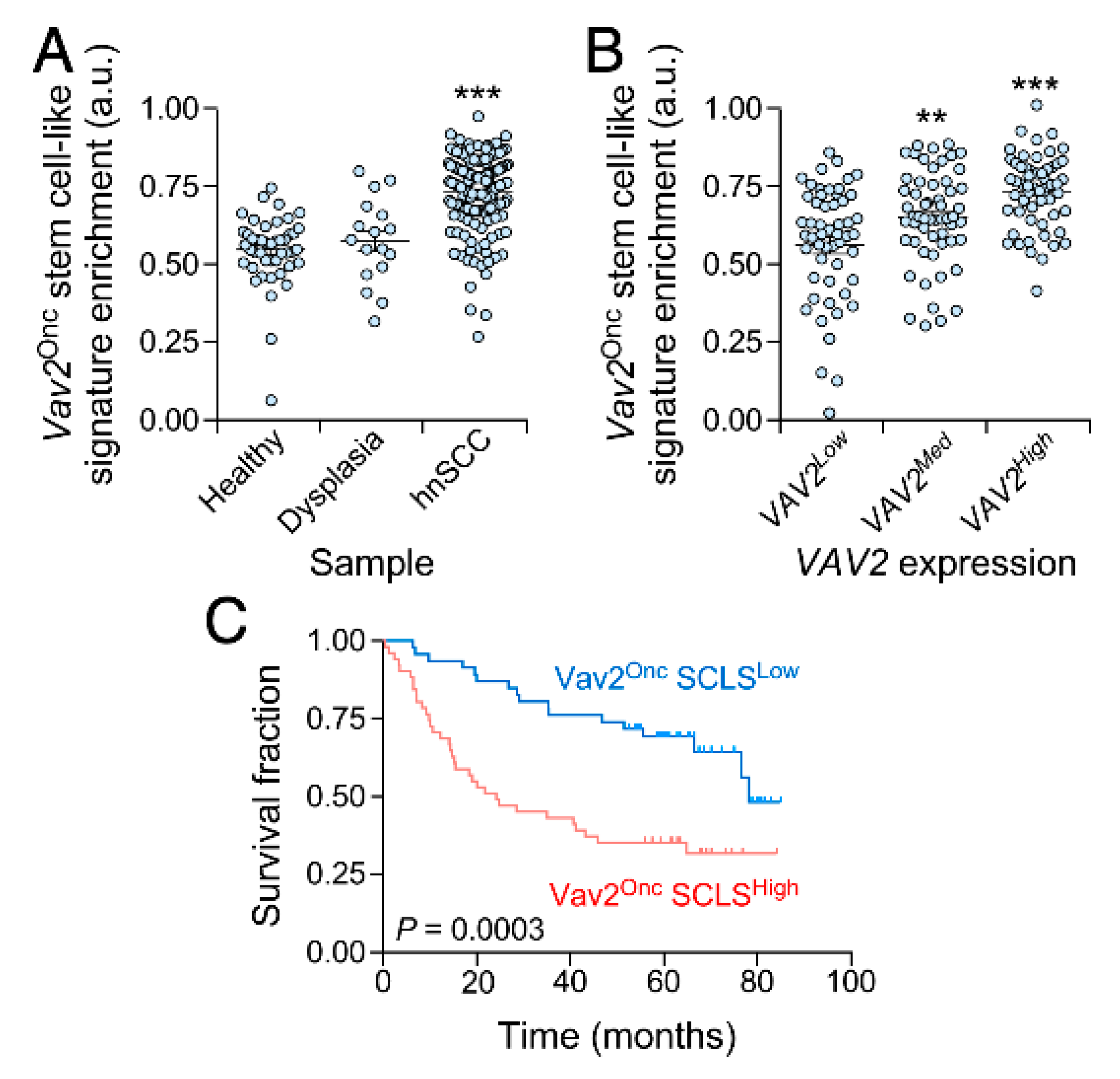 Cancers 12 02498 g005