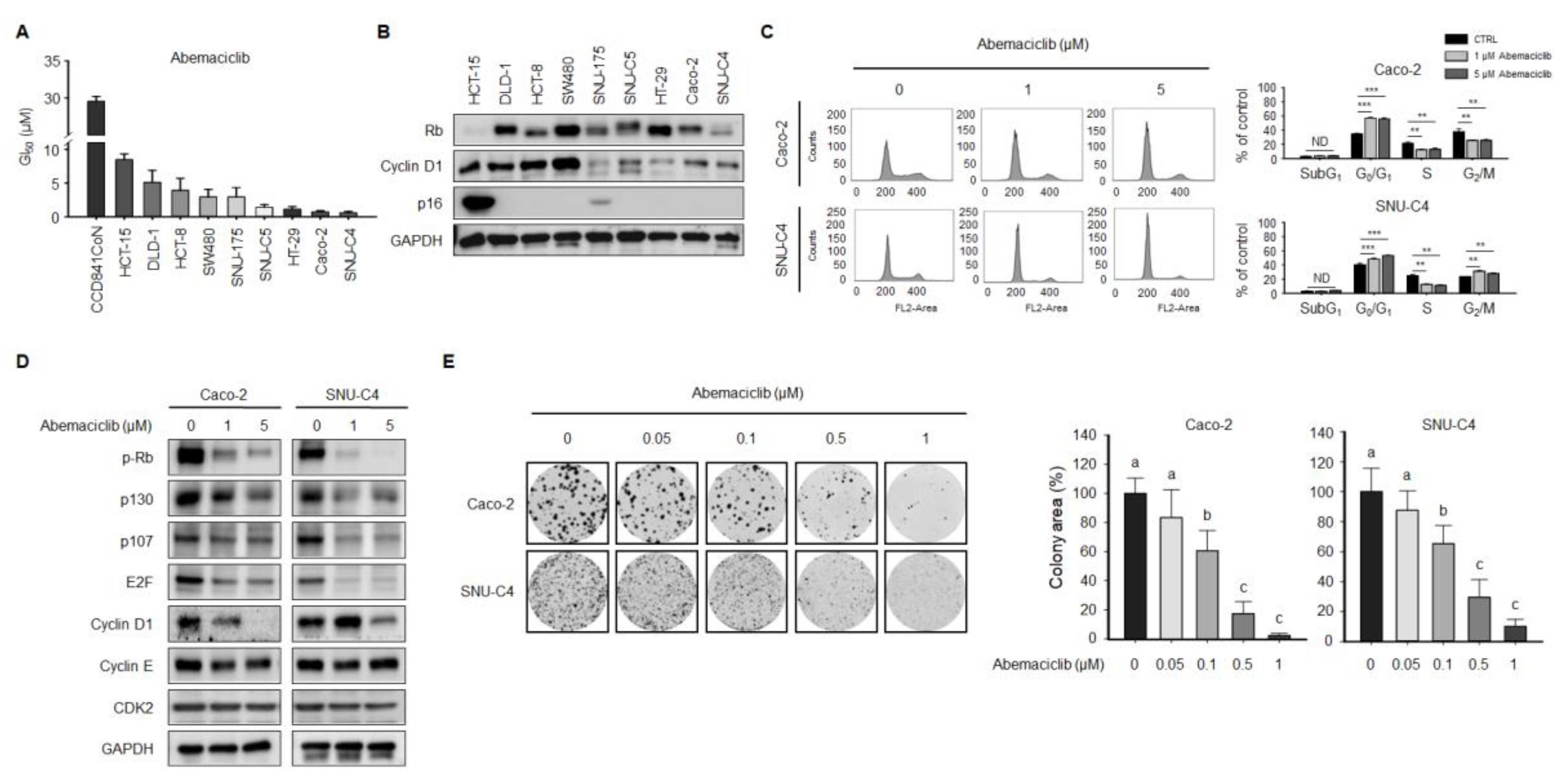 Cancers 12 02500 g001 Cancers 12 02500 g001