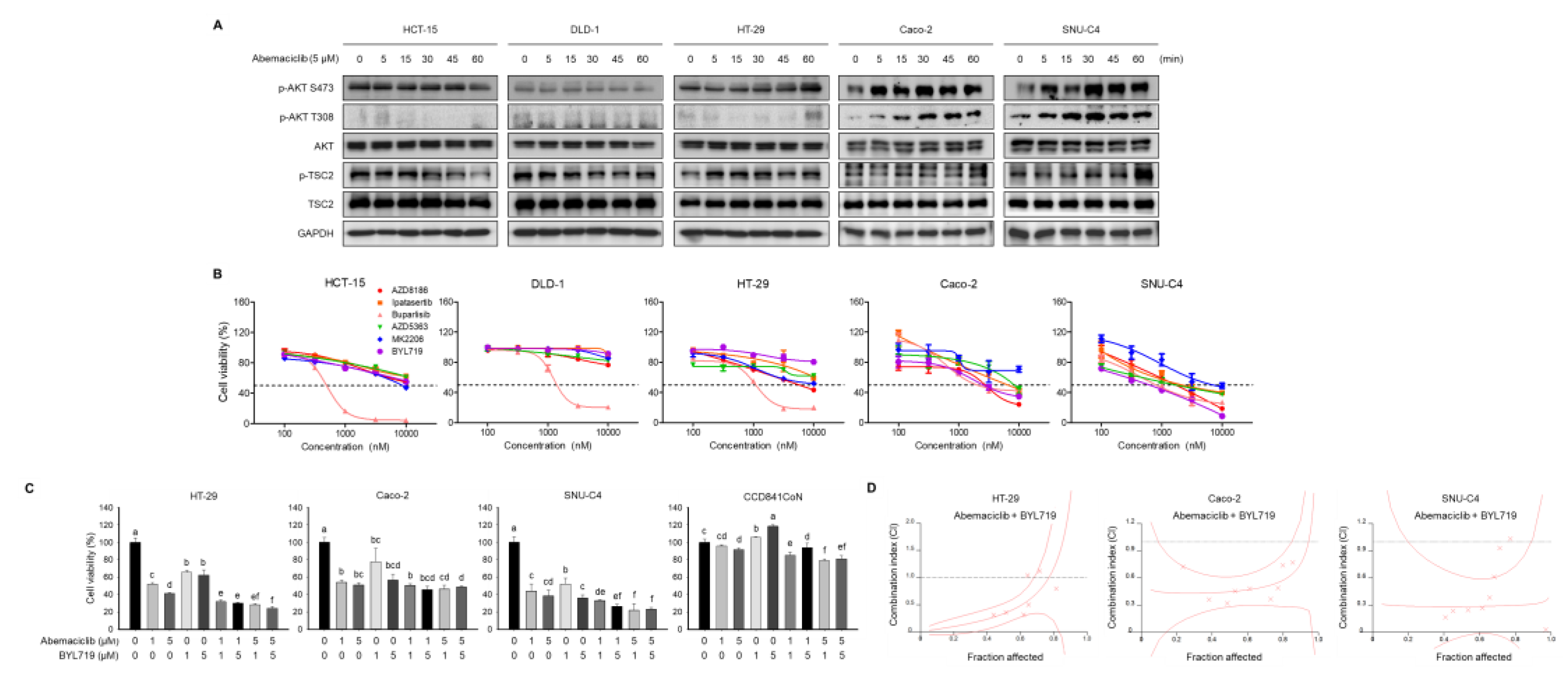 Cancers 12 02500 g002 Cancers 12 02500 g002