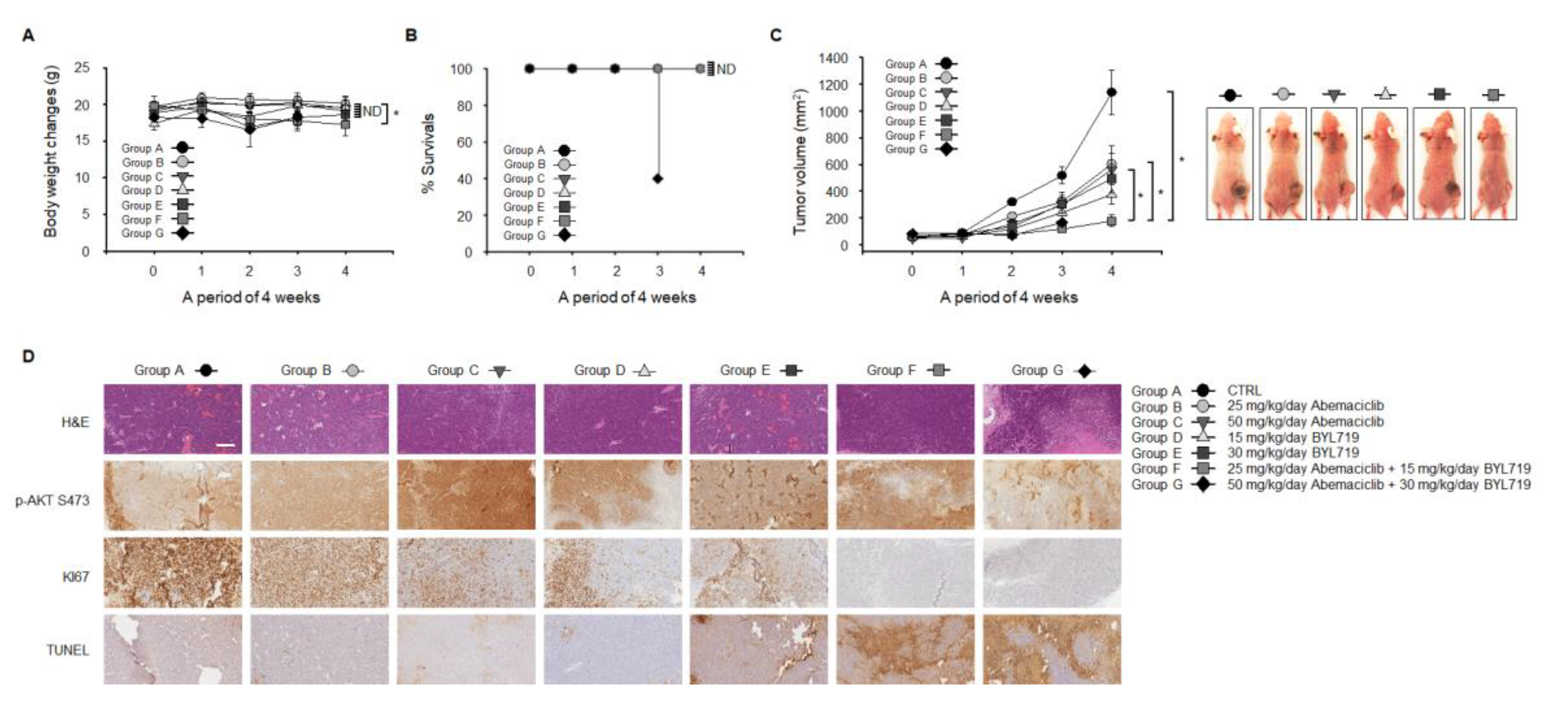 Cancers 12 02500 g005 Cancers 12 02500 g005