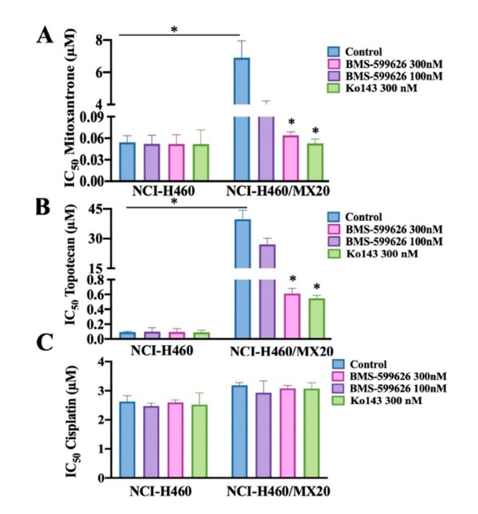 Cancers 12 02502 g002 Cancers 12 02502 g002