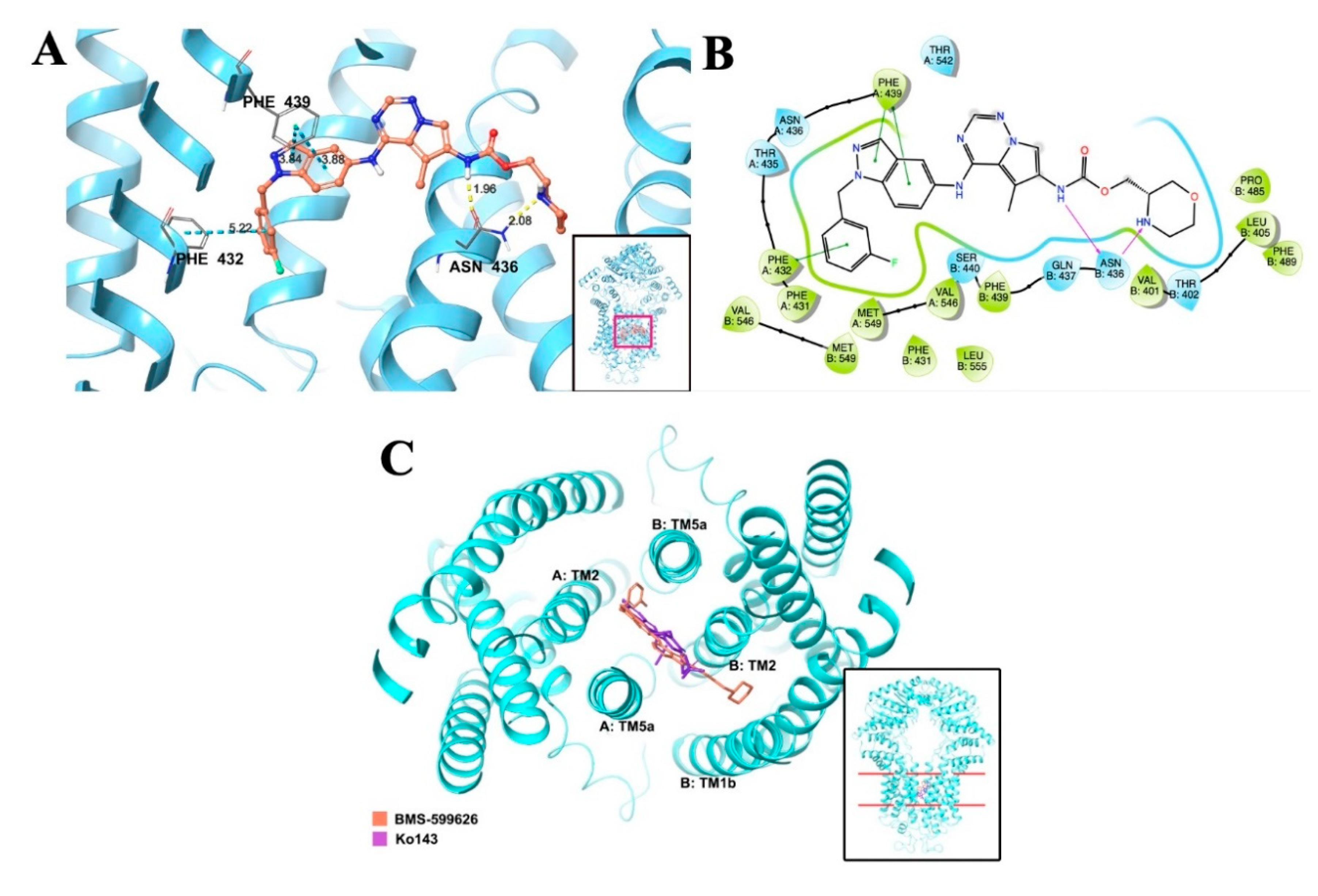Cancers 12 02502 g008 Cancers 12 02502 g008