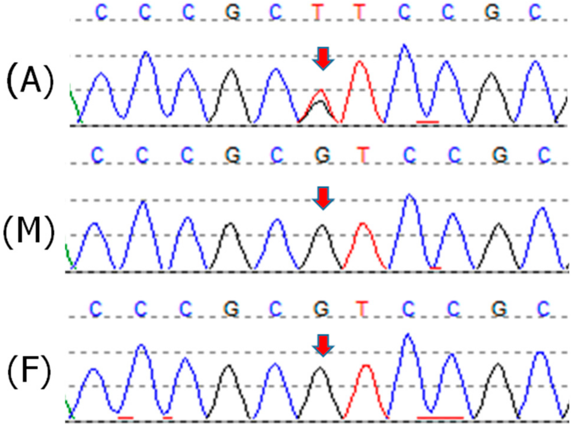 Cancers 12 02503 g001