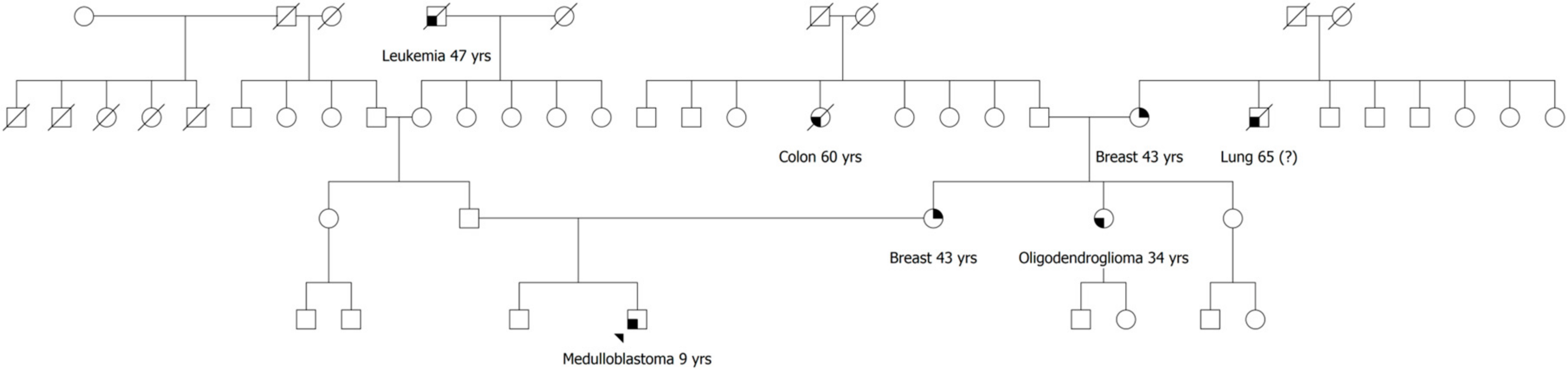 Cancers 12 02503 g002