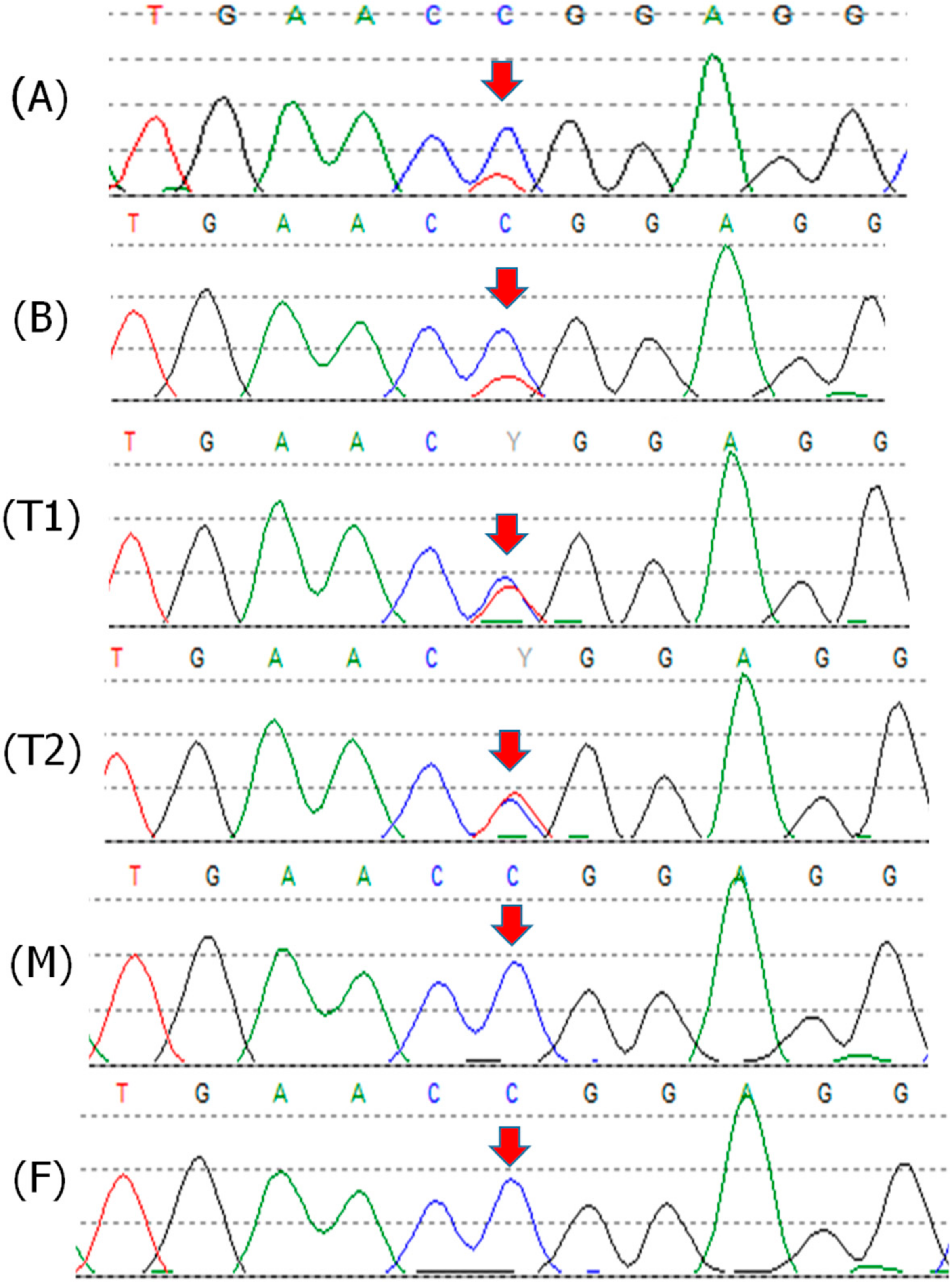 Cancers 12 02503 g003