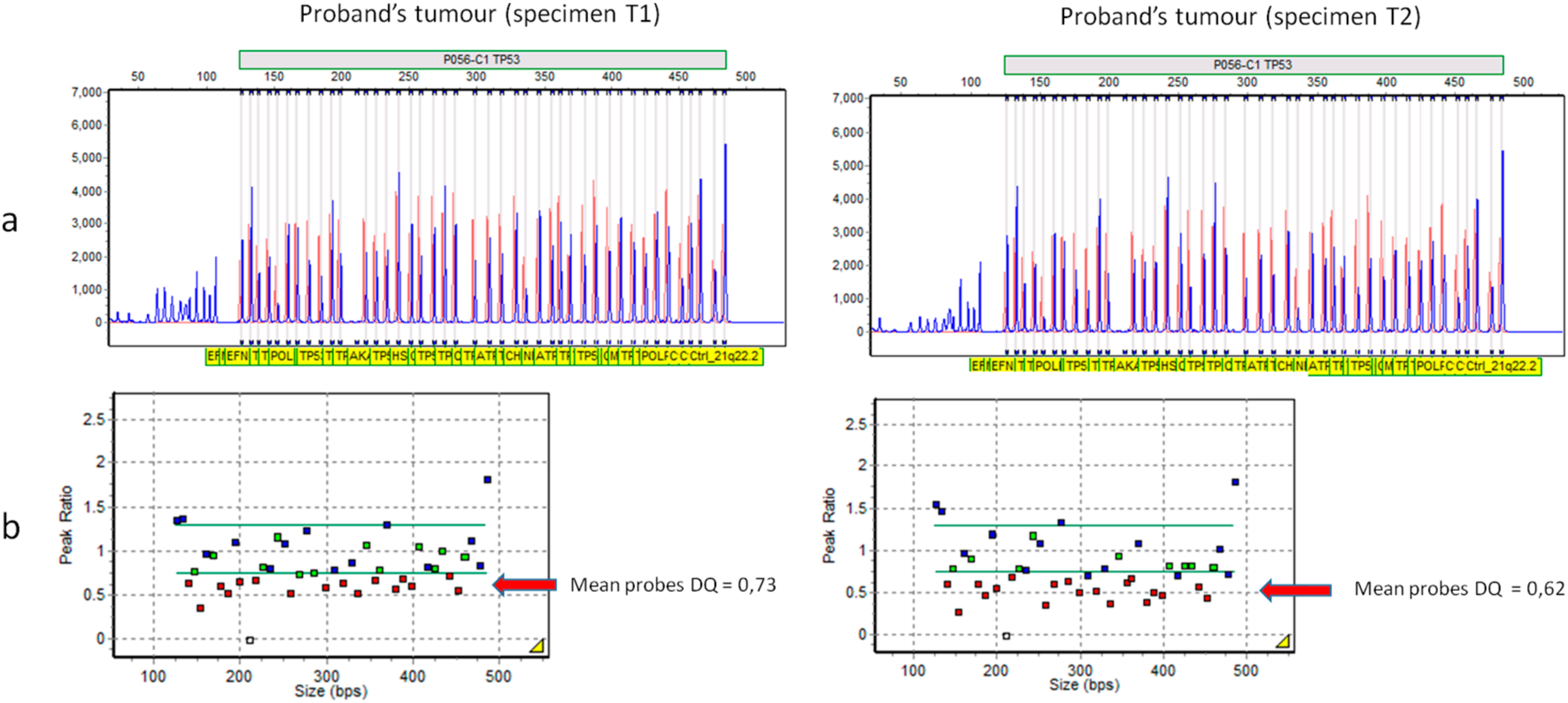 Cancers 12 02503 g005