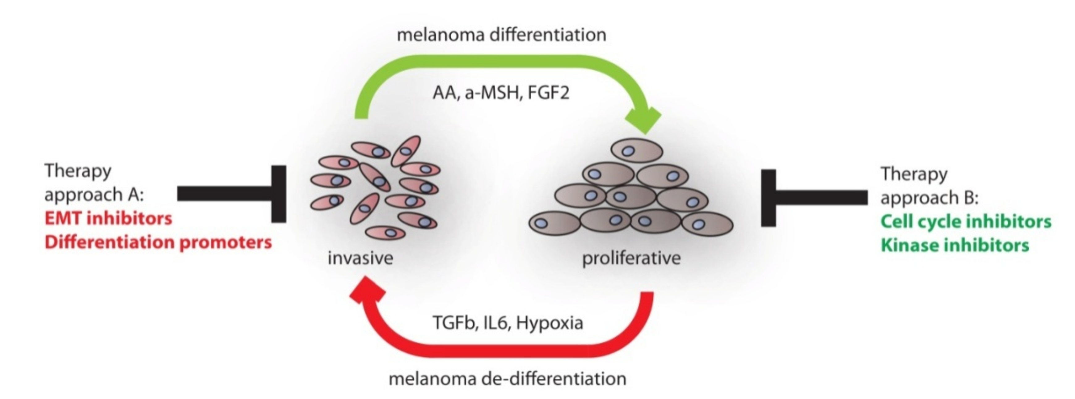 Cancers 12 02508 g002 Cancers 12 02508 g002