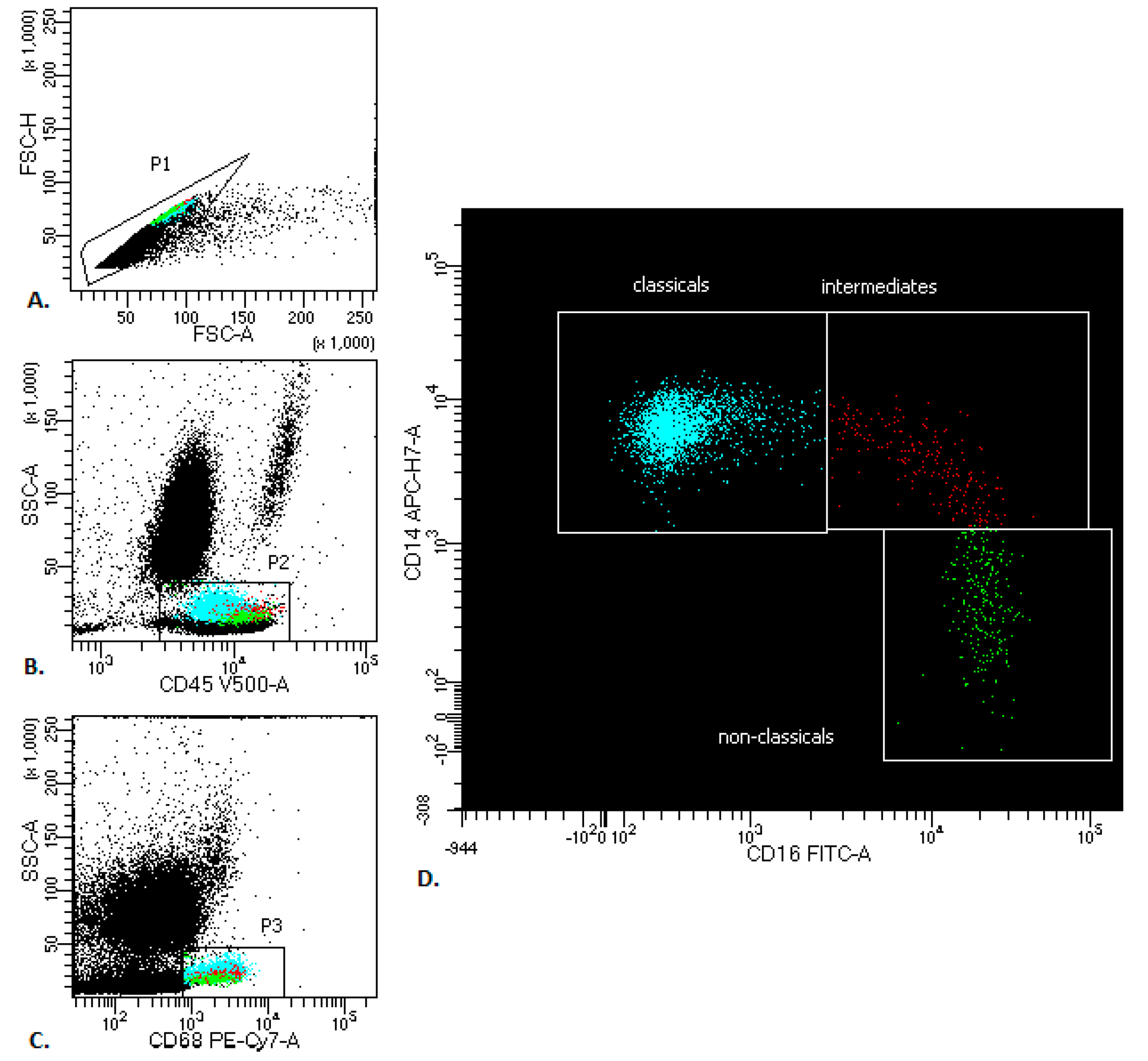 Cancers 12 02513 g001