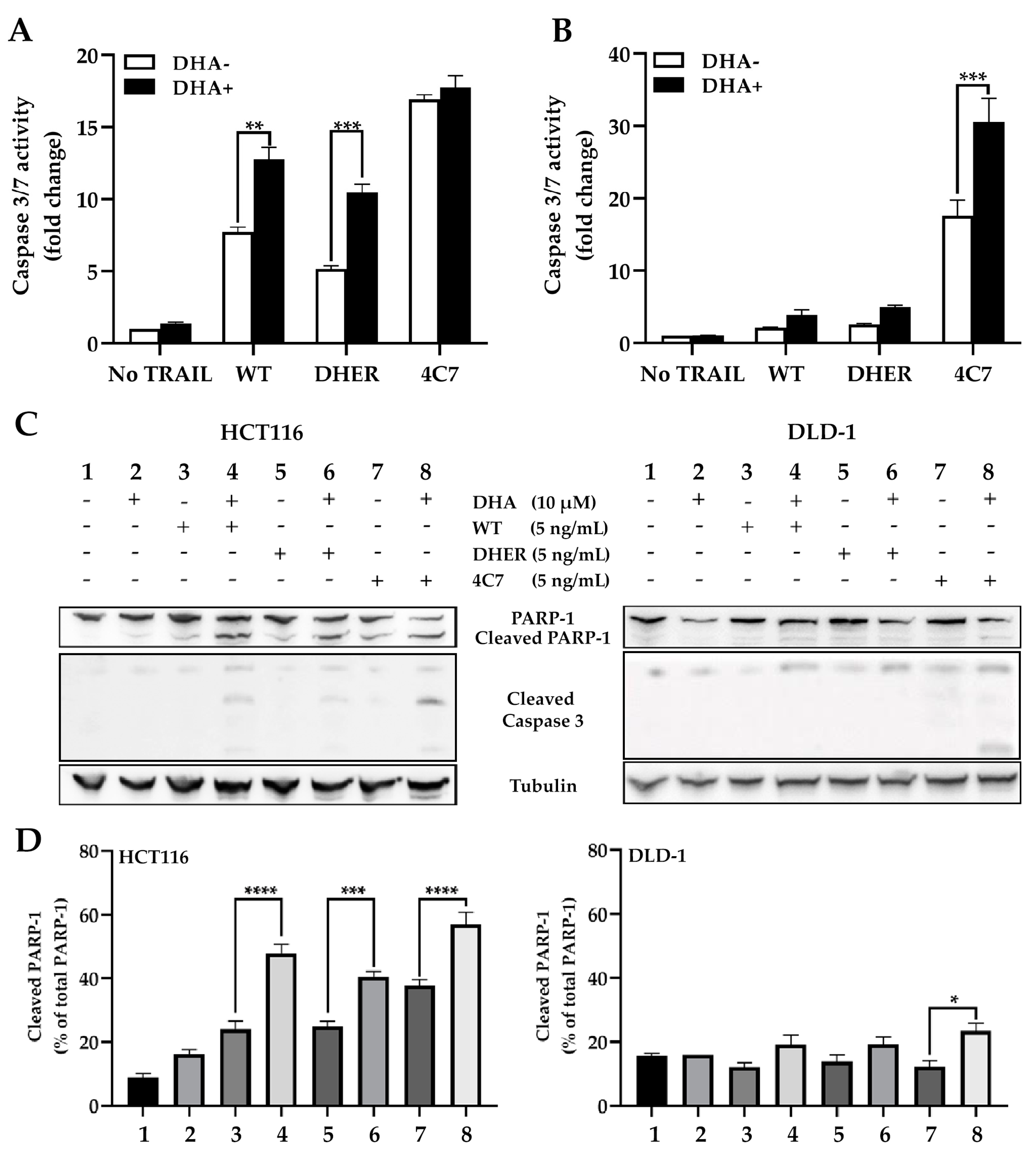 Cancers 12 02514 g004