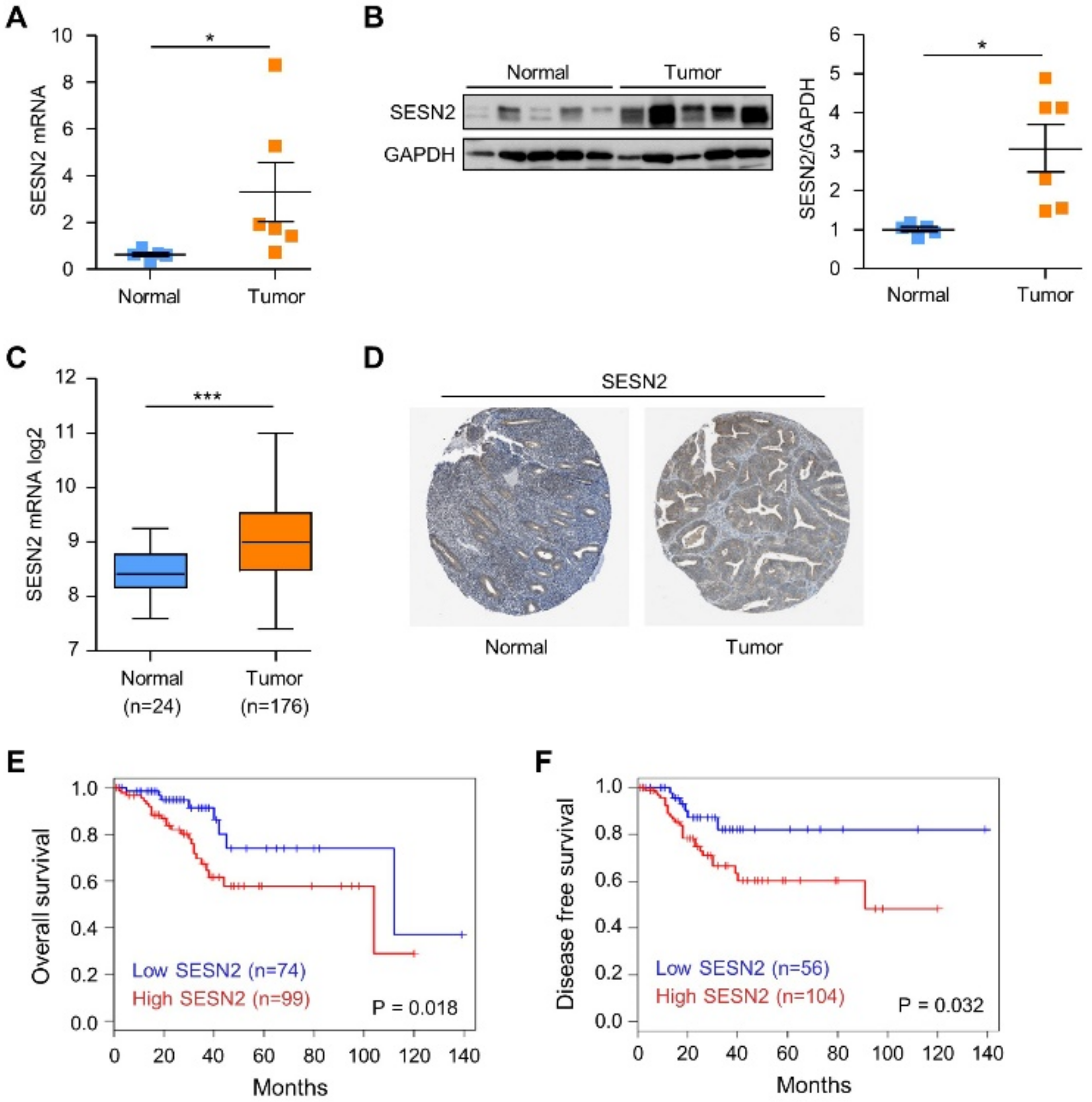 Cancers 12 02515 g001
