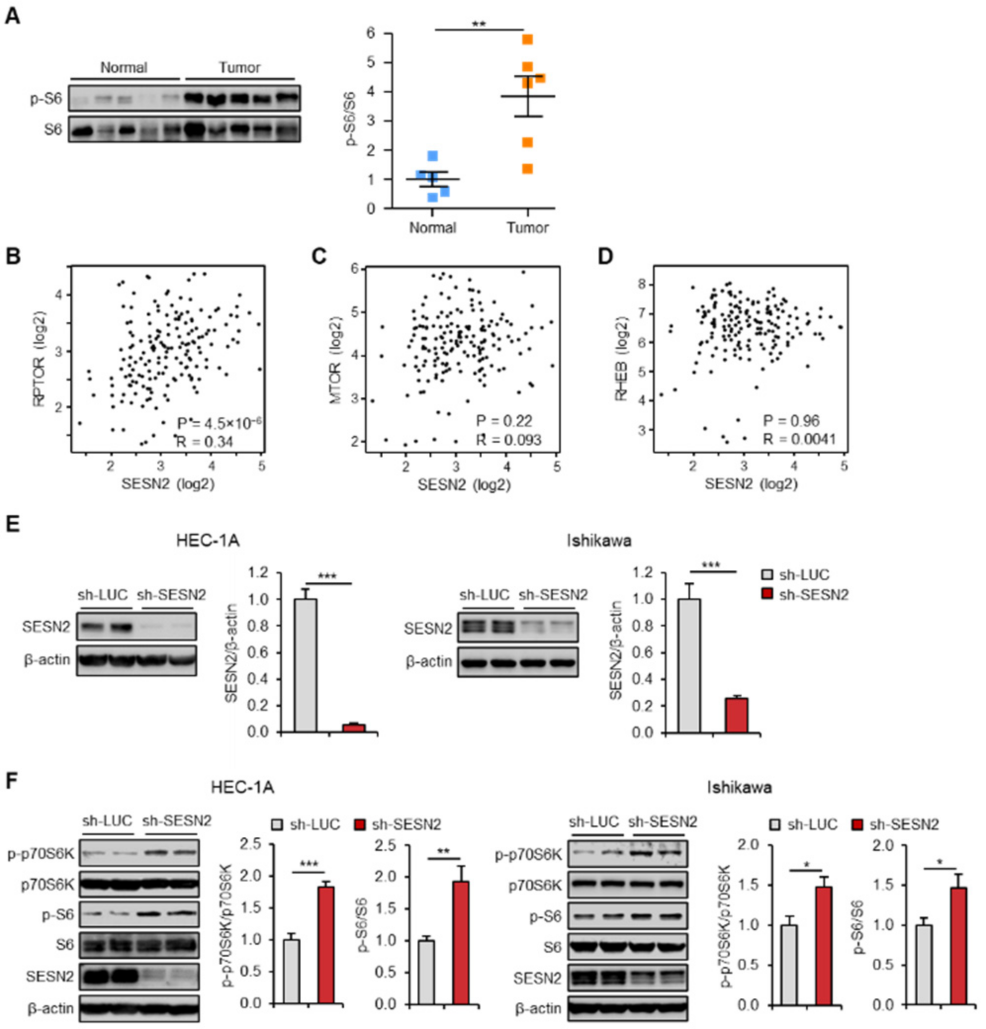 Cancers 12 02515 g002
