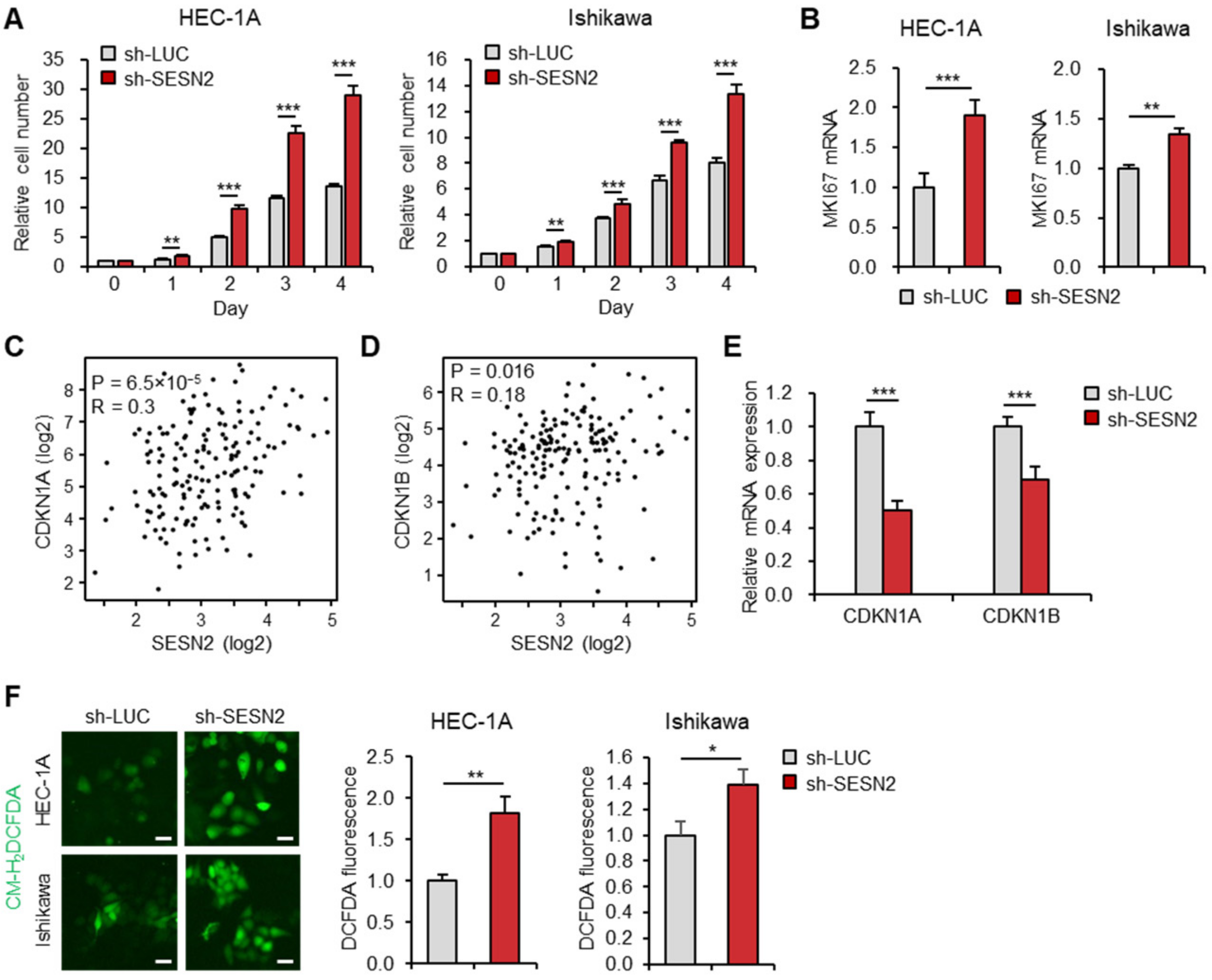 Cancers 12 02515 g003