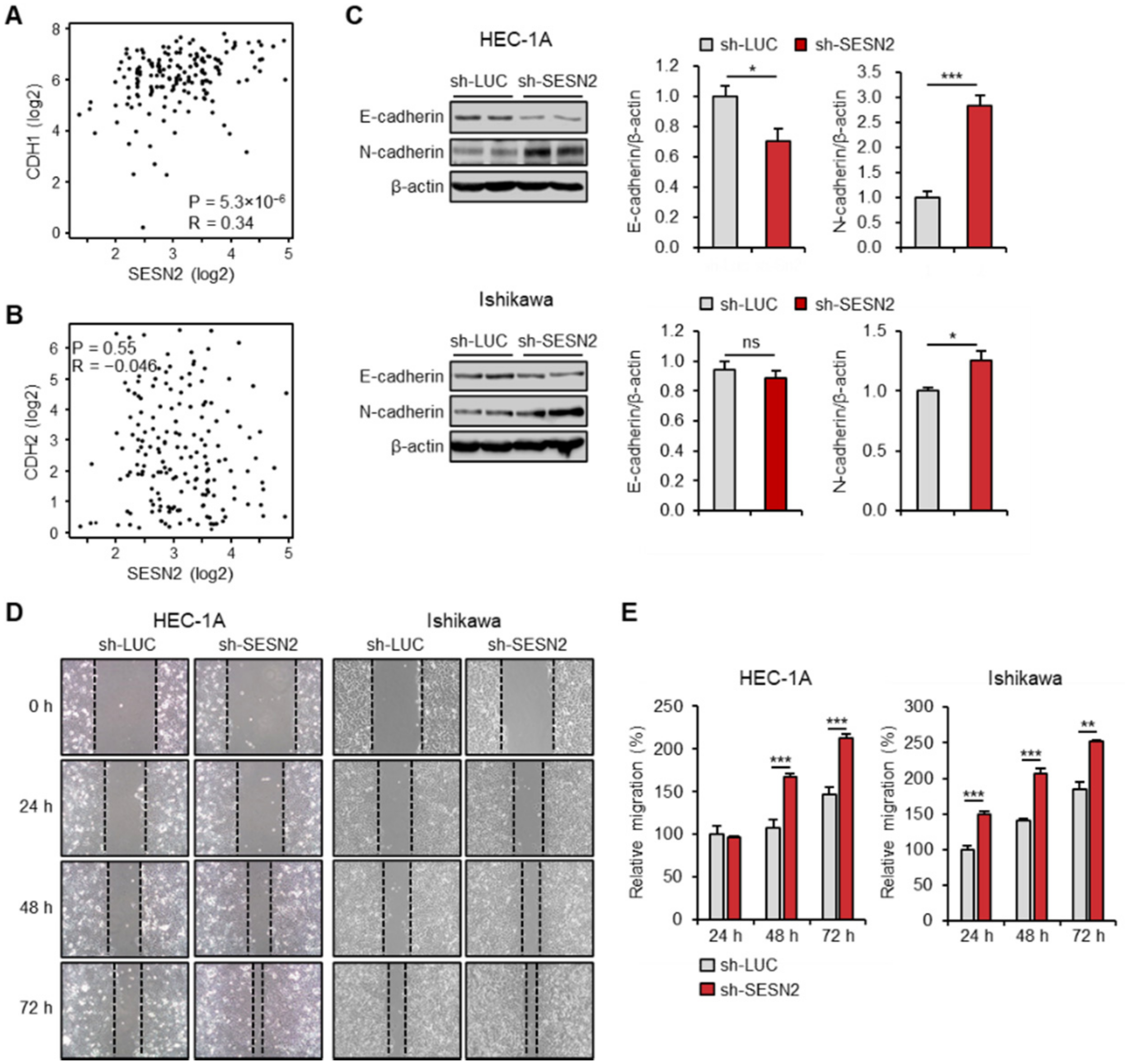 Cancers 12 02515 g004