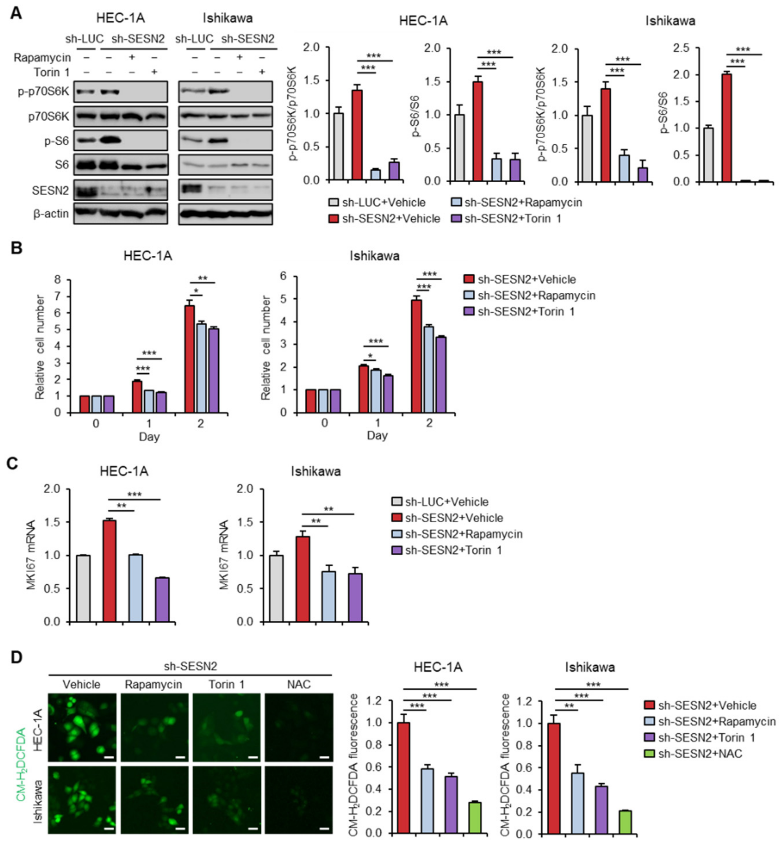 Cancers 12 02515 g005