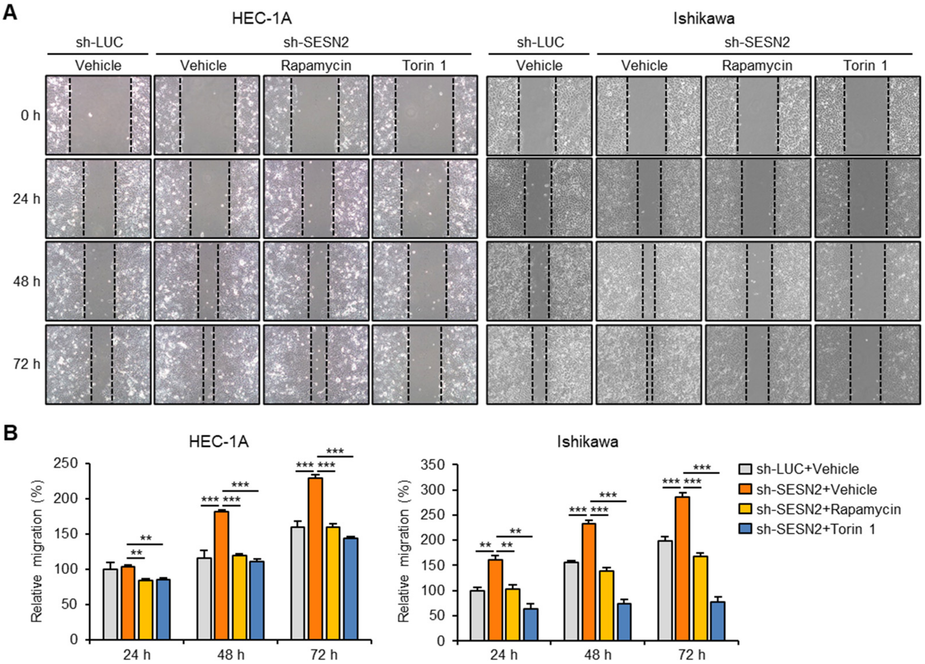 Cancers 12 02515 g006