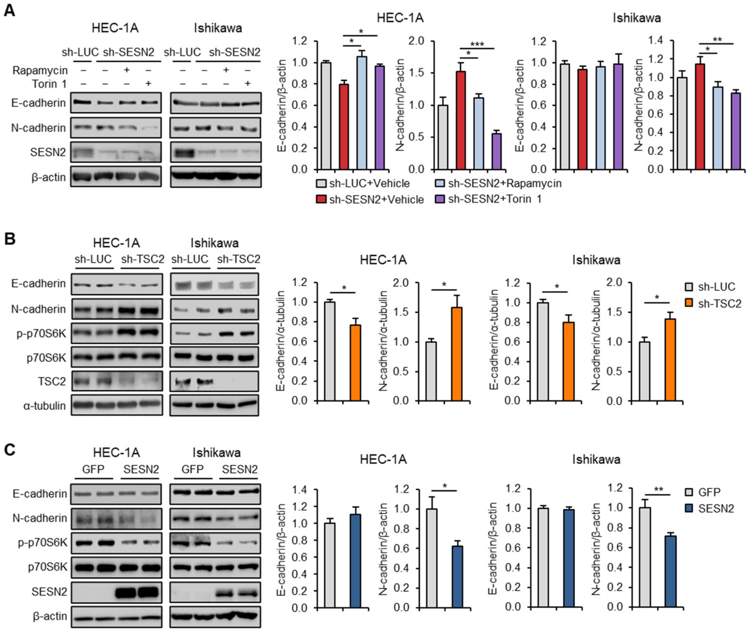 Cancers 12 02515 g007