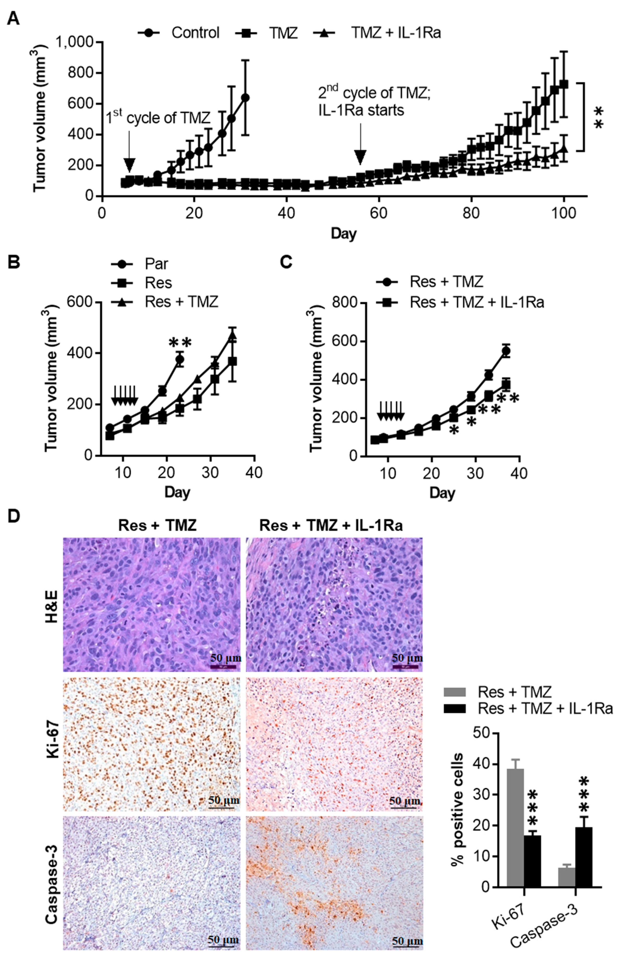 Cancers 12 02518 g007 Cancers 12 02518 g007