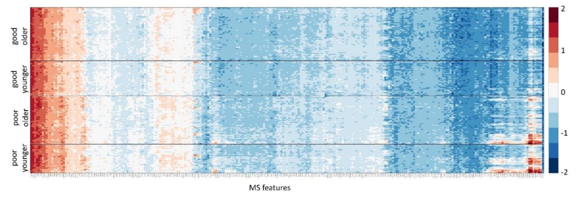 Cancers 12 02519 g001 Cancers 12 02519 g001