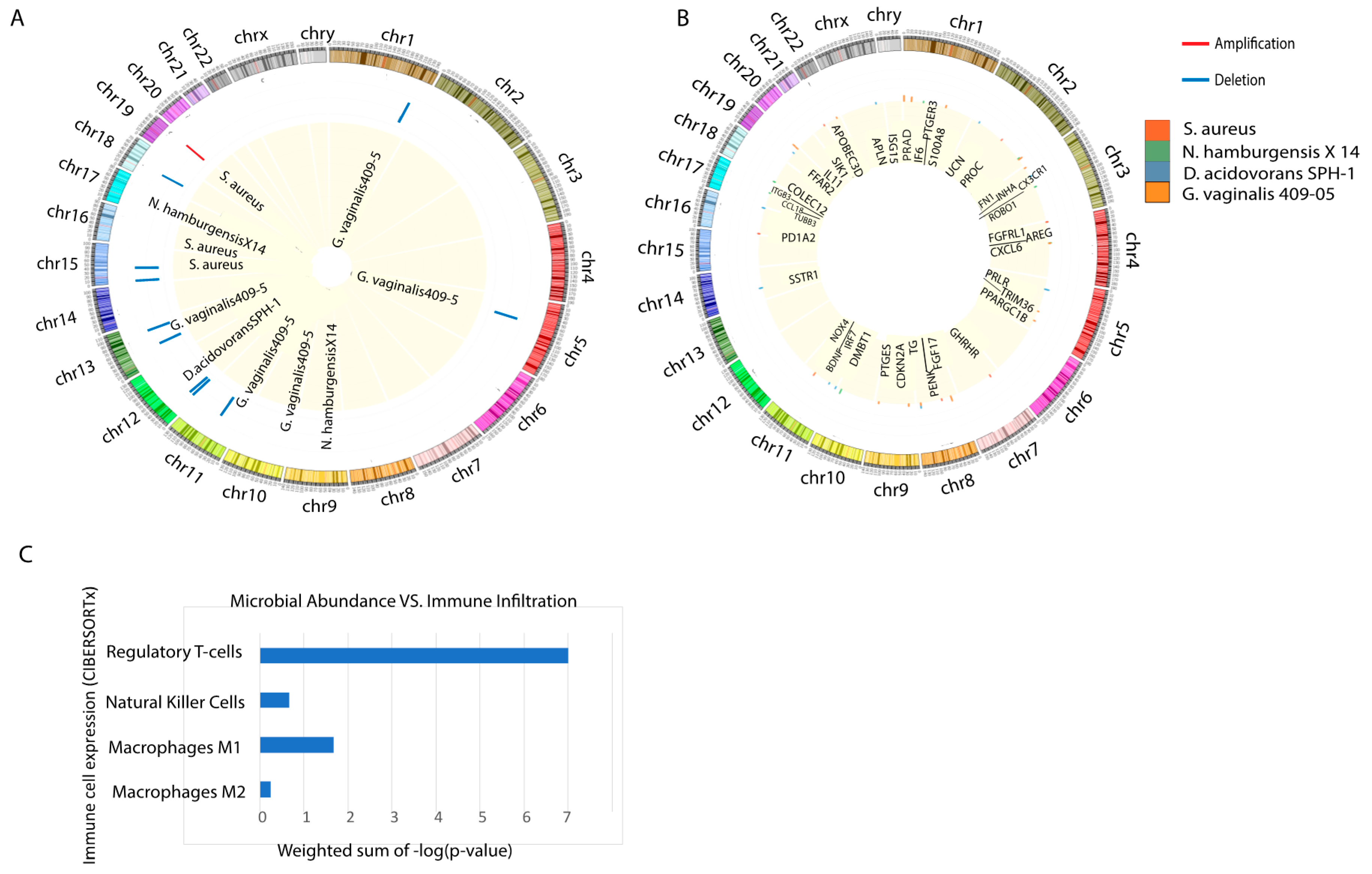 Cancers 12 02524 g004