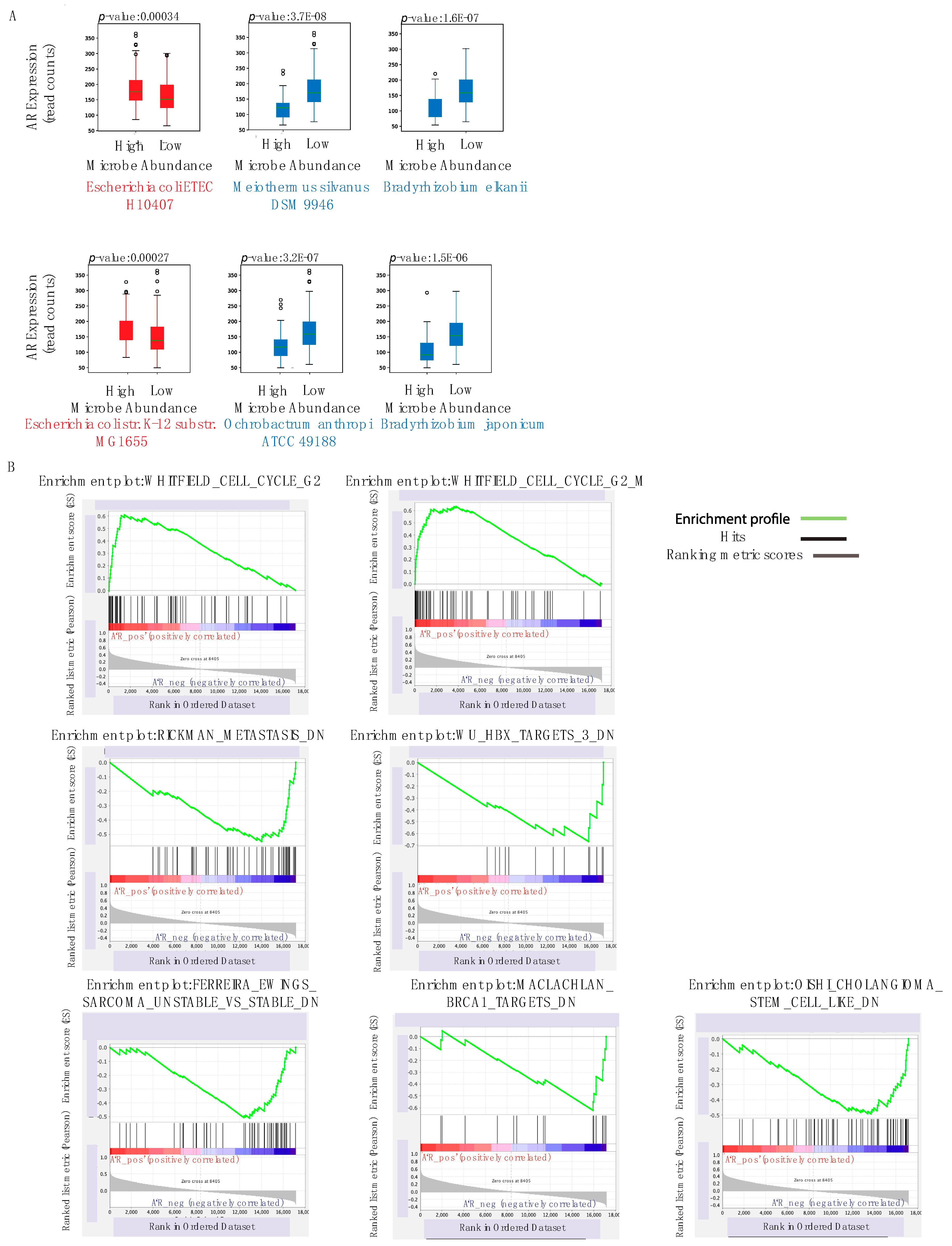 Cancers 12 02524 g005