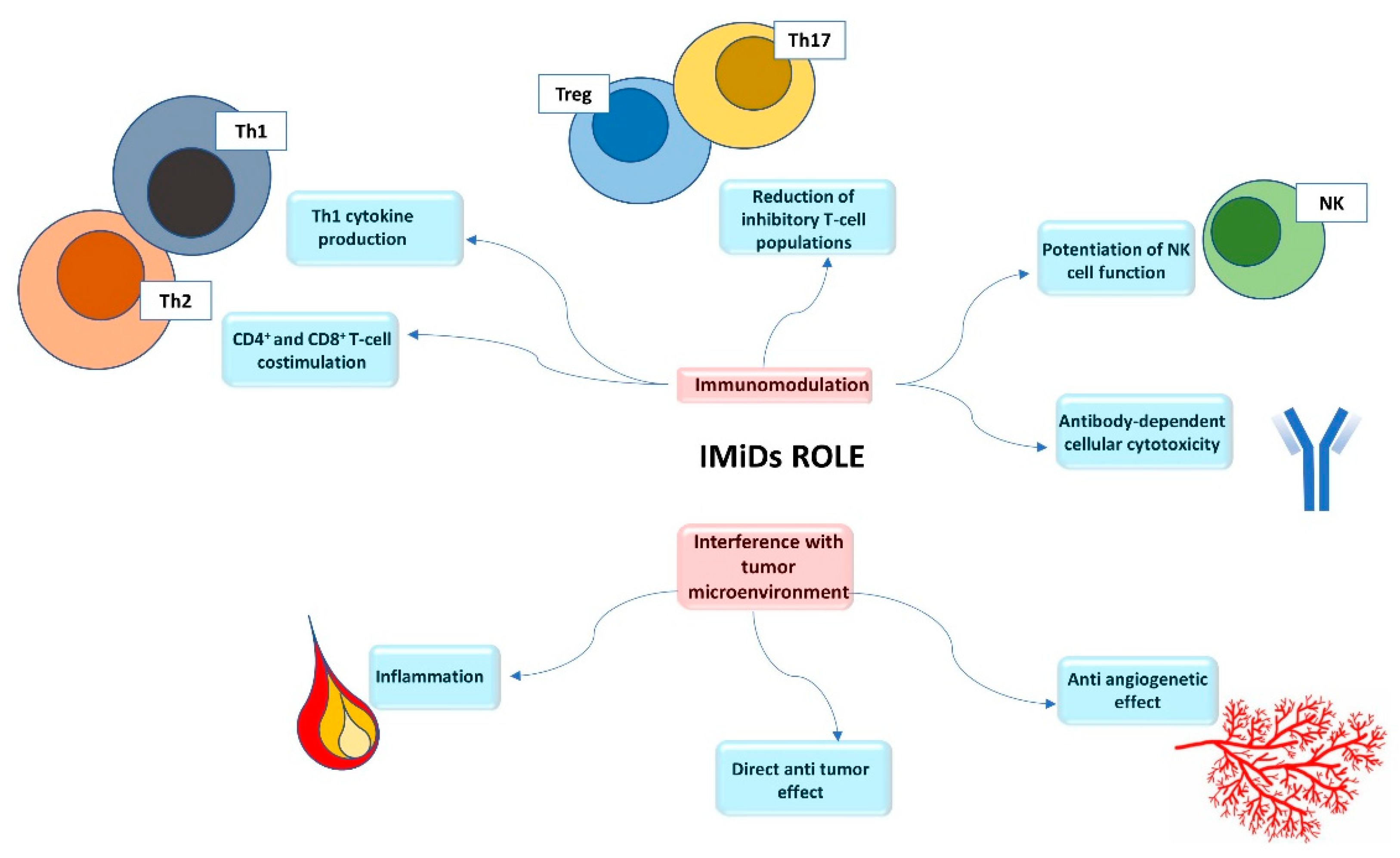 Cancers 12 02528 g002 Cancers 12 02528 g002